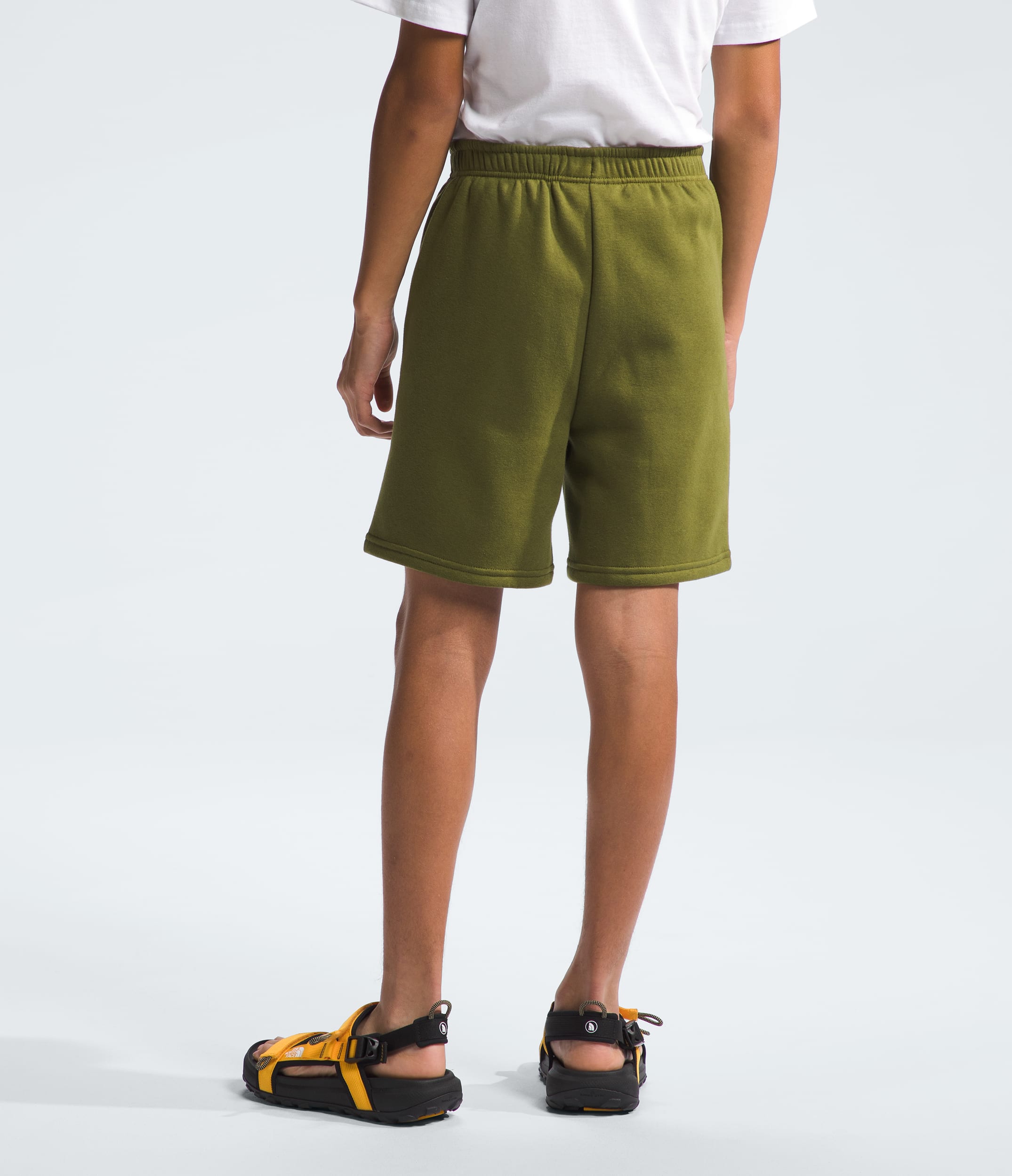 Boys Camp Fleece Shorts TNF BACK