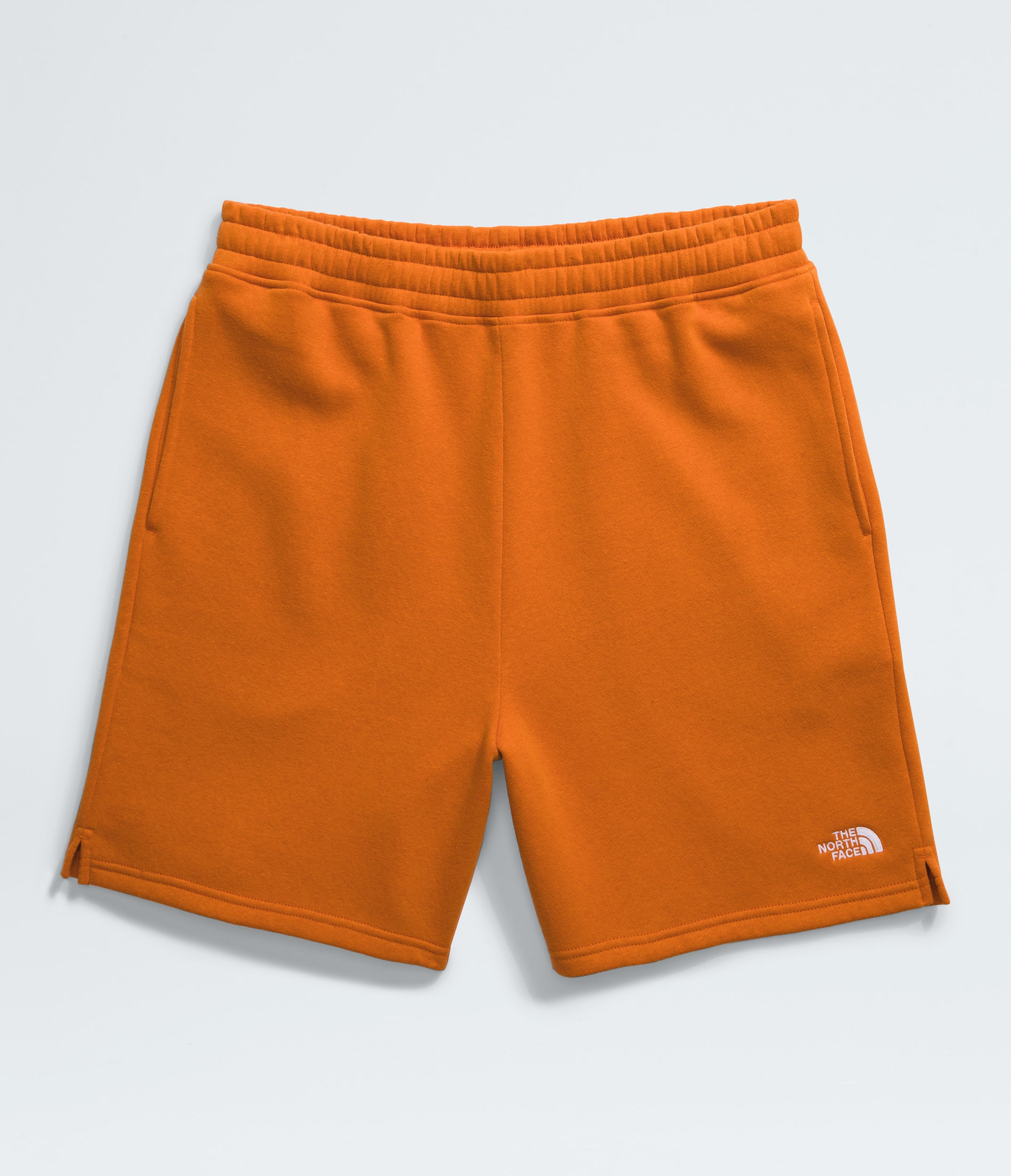 Short Evolution pour hommes TNF ALTFRONT