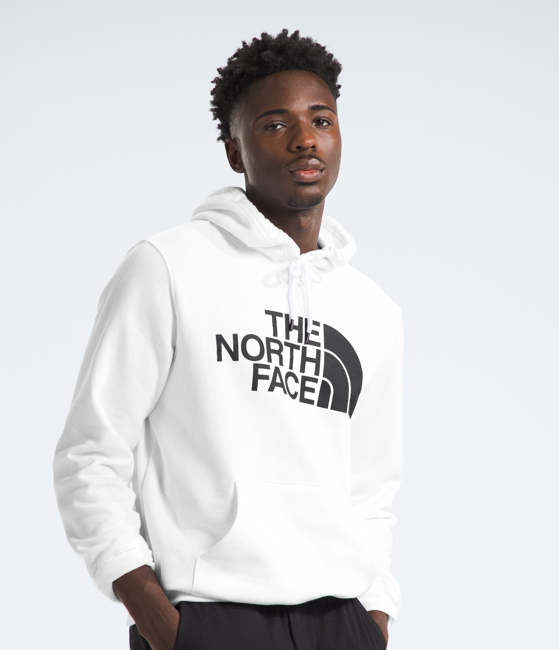 Mens Half Dome Pullover Hoodie TNF Main