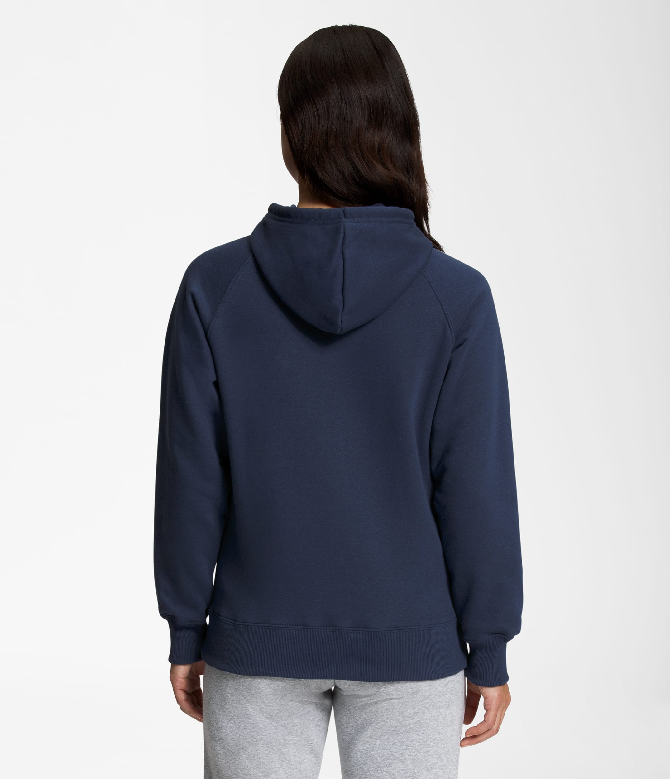 Womens Half Dome Pullover Hoodie TNF BACK