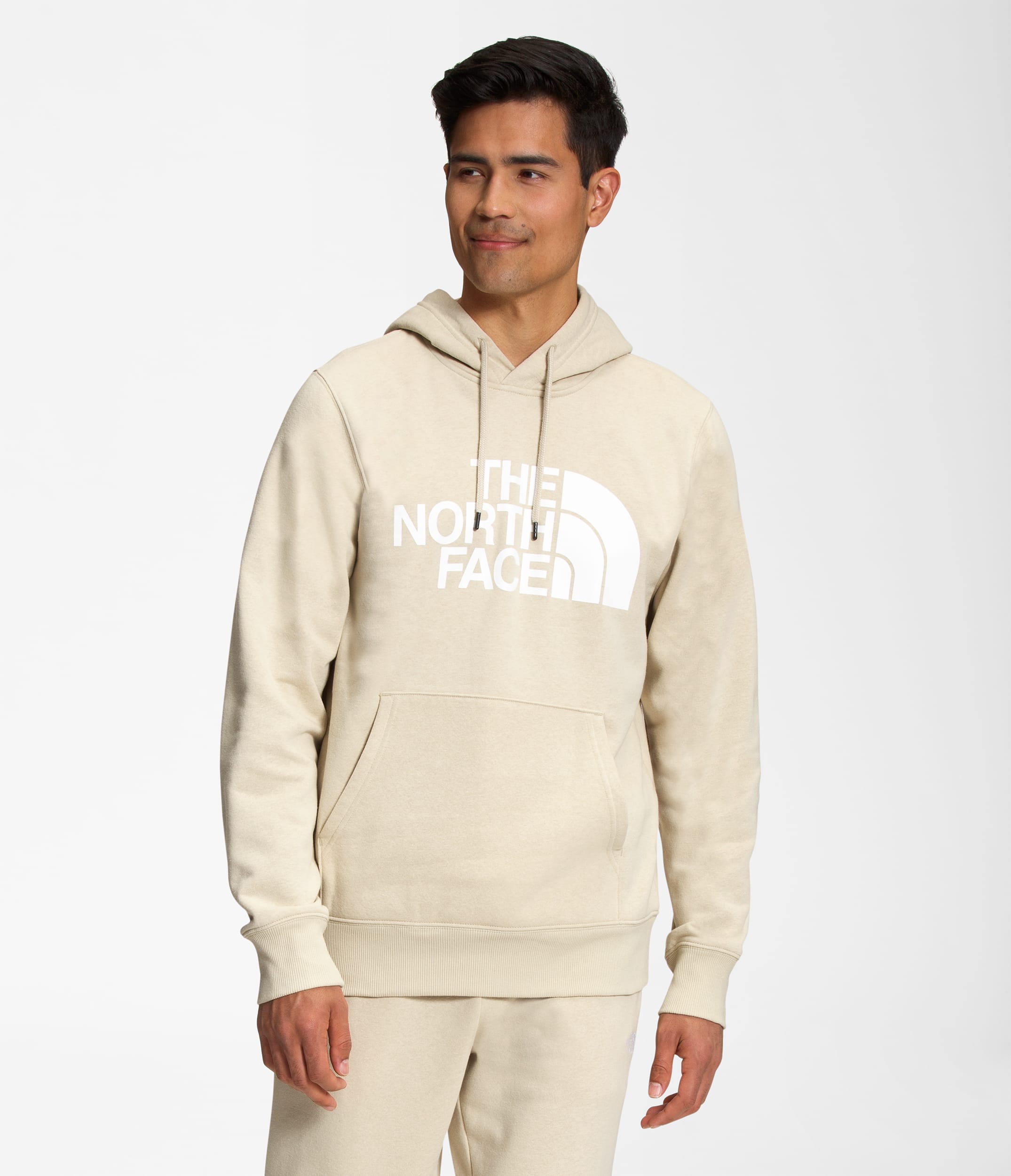 Mens Half Dome Pullover Hoodie TNF Main