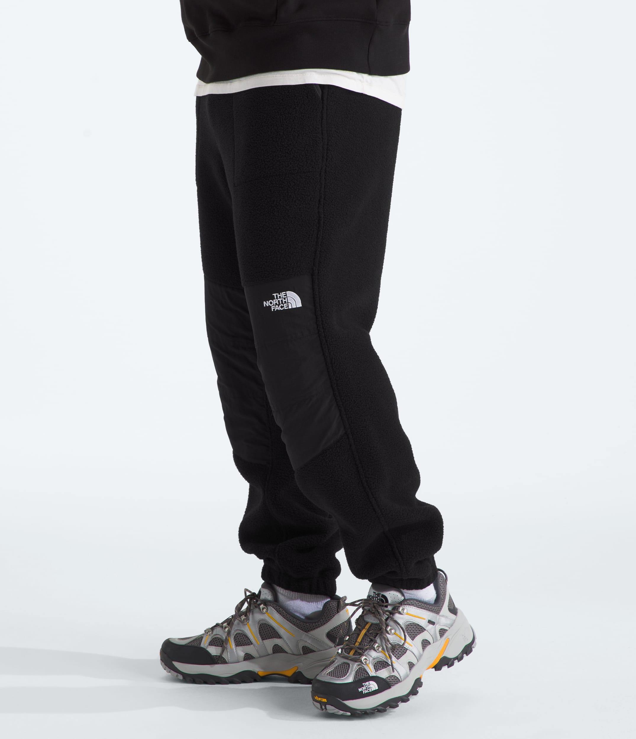 Mens Retro Denali Pants TNF MODEL34