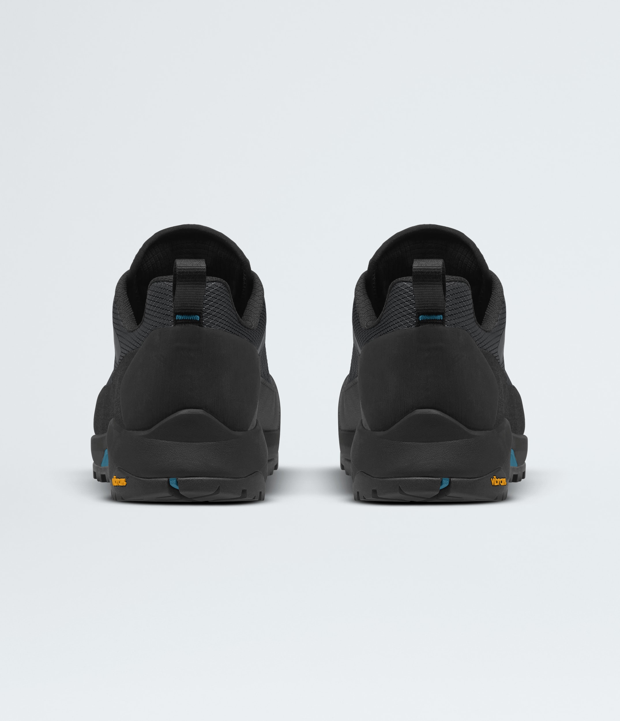 Mens Verto Alpine GORETEX Shoes TNF BACK