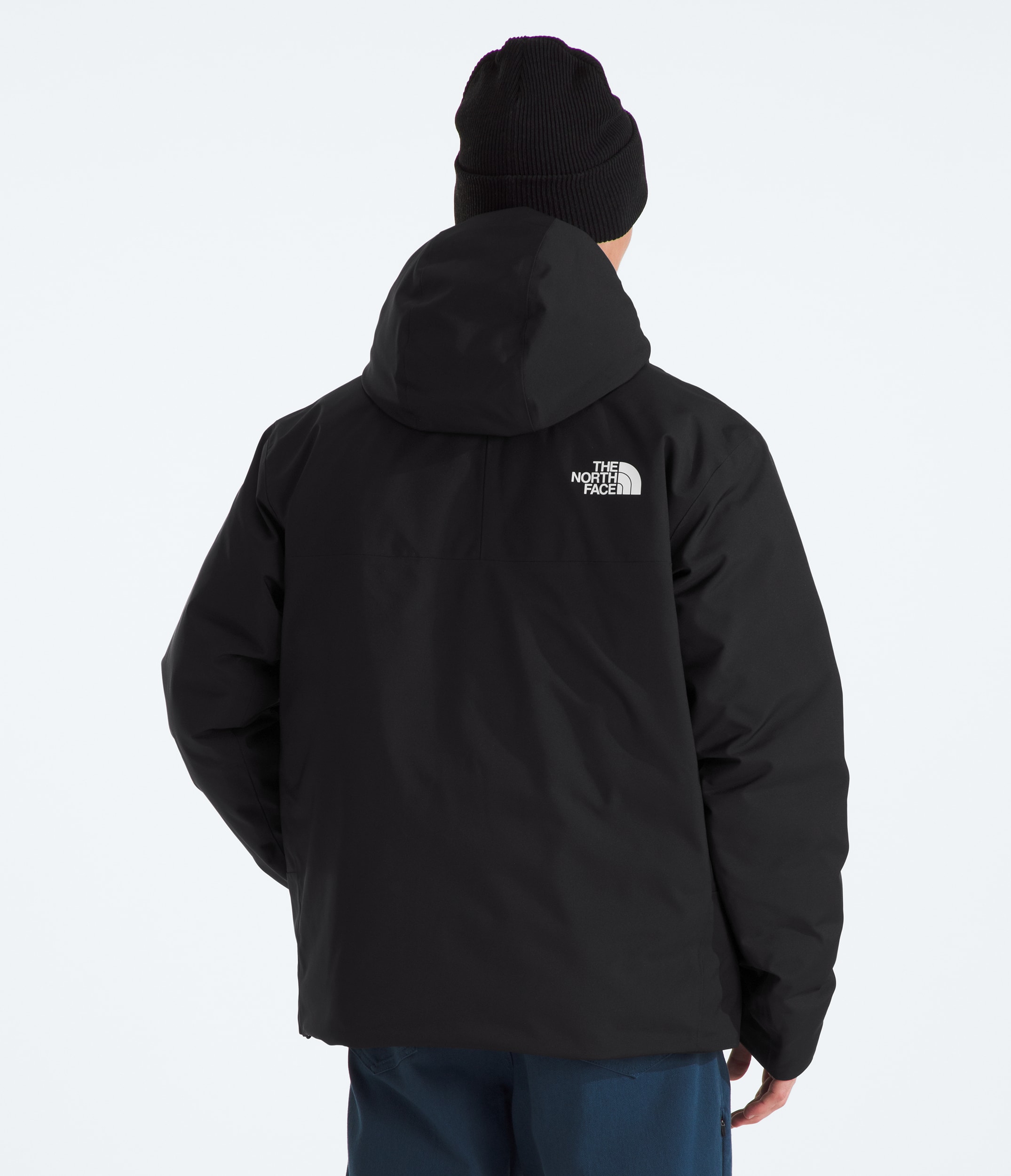Mens MTN Range Down Hooded Jacket TNF BACK