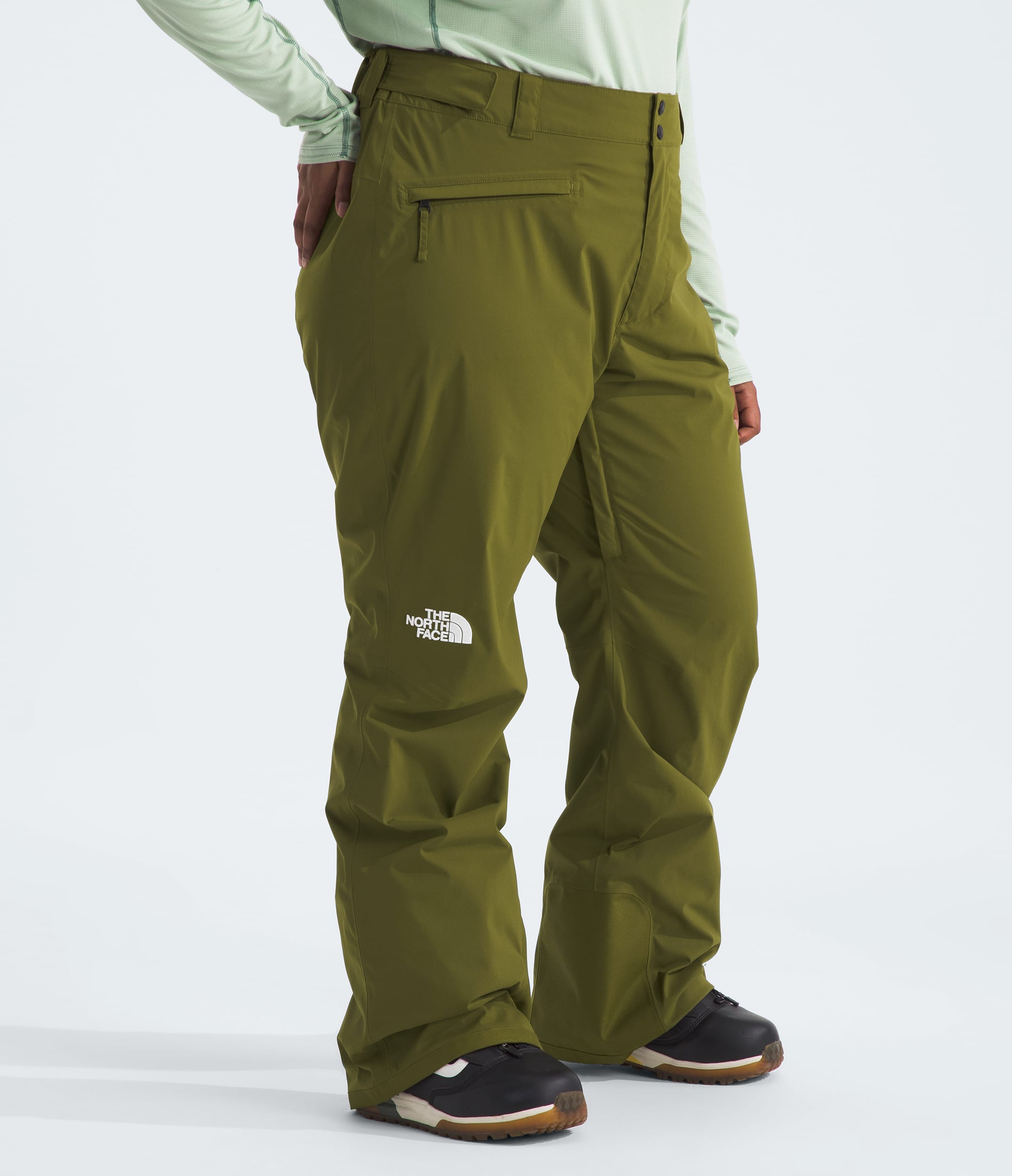 Womens Plus Freedom Stretch Pants TNF MODEL34