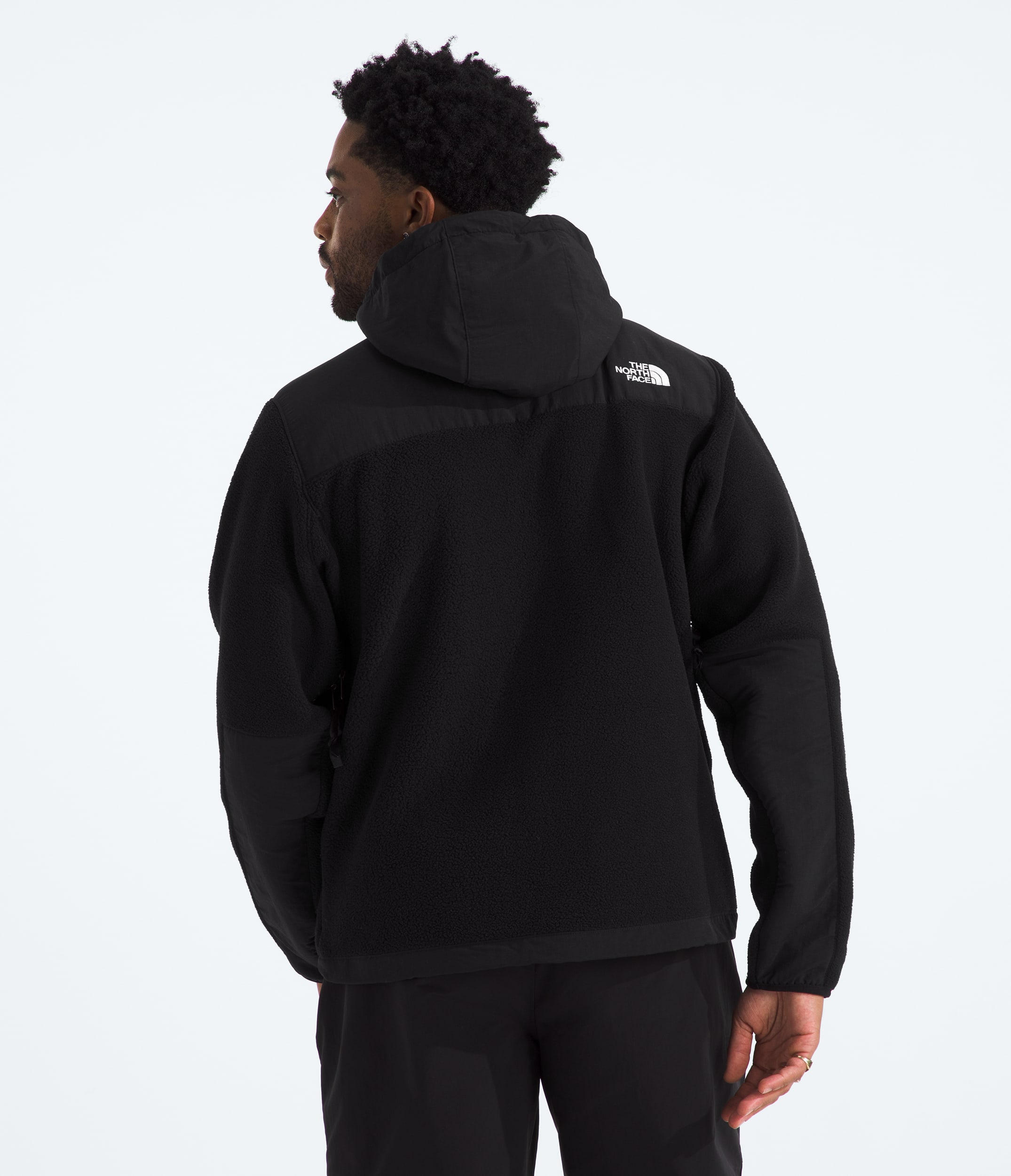 Mens Retro Denali Hoodie TNF BACK