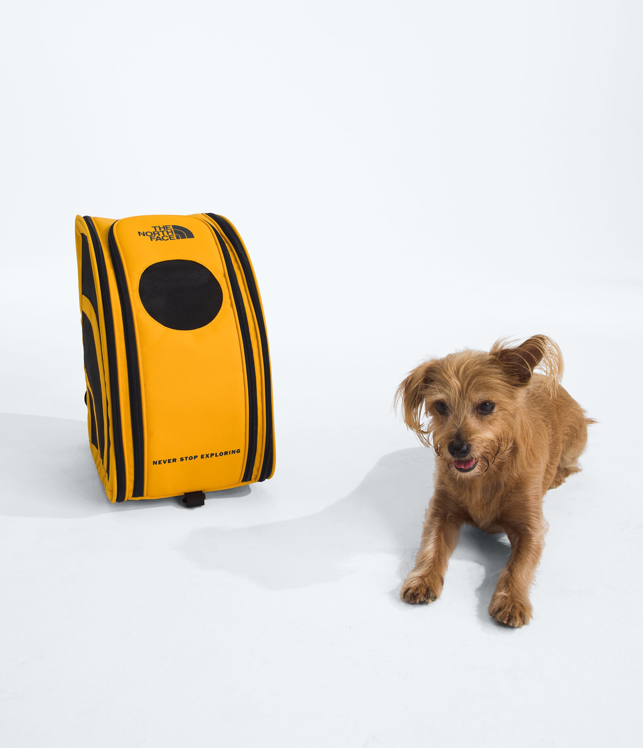 TNF Pet Carrier TNF HERO2
