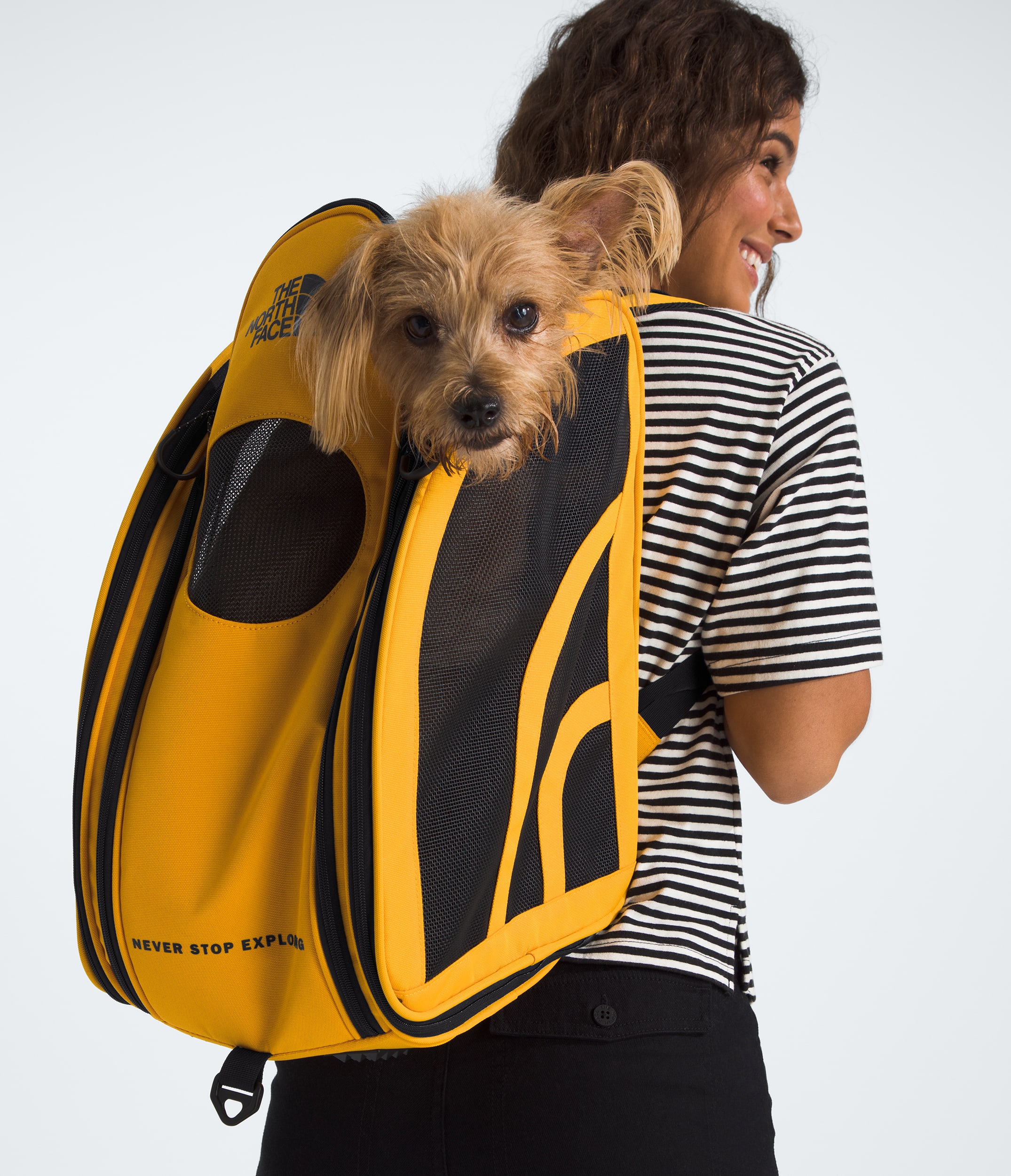 TNF Pet Carrier TNF MODELBACK