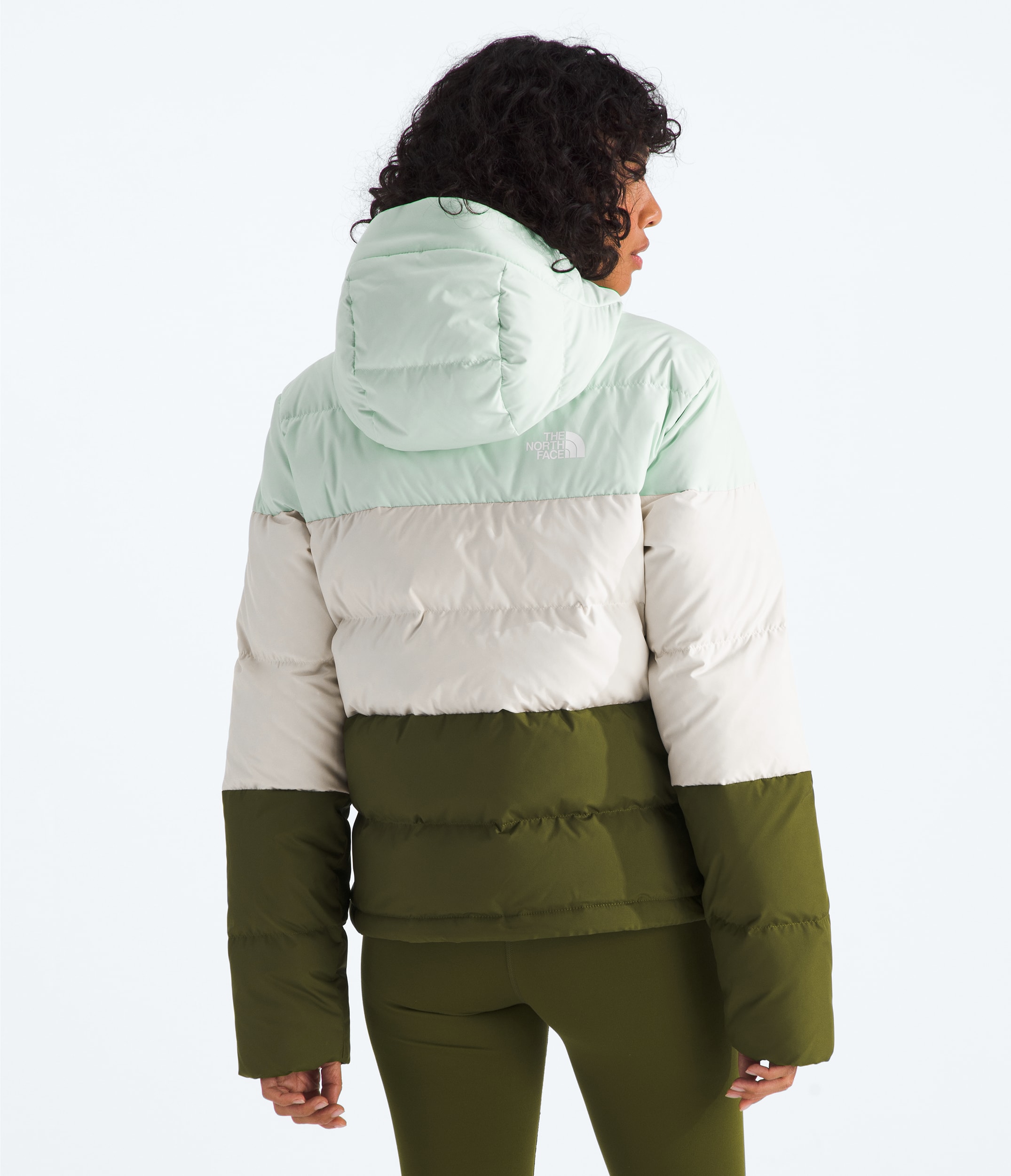 Womens Frost Fall Hooded Jacket TNF BACK