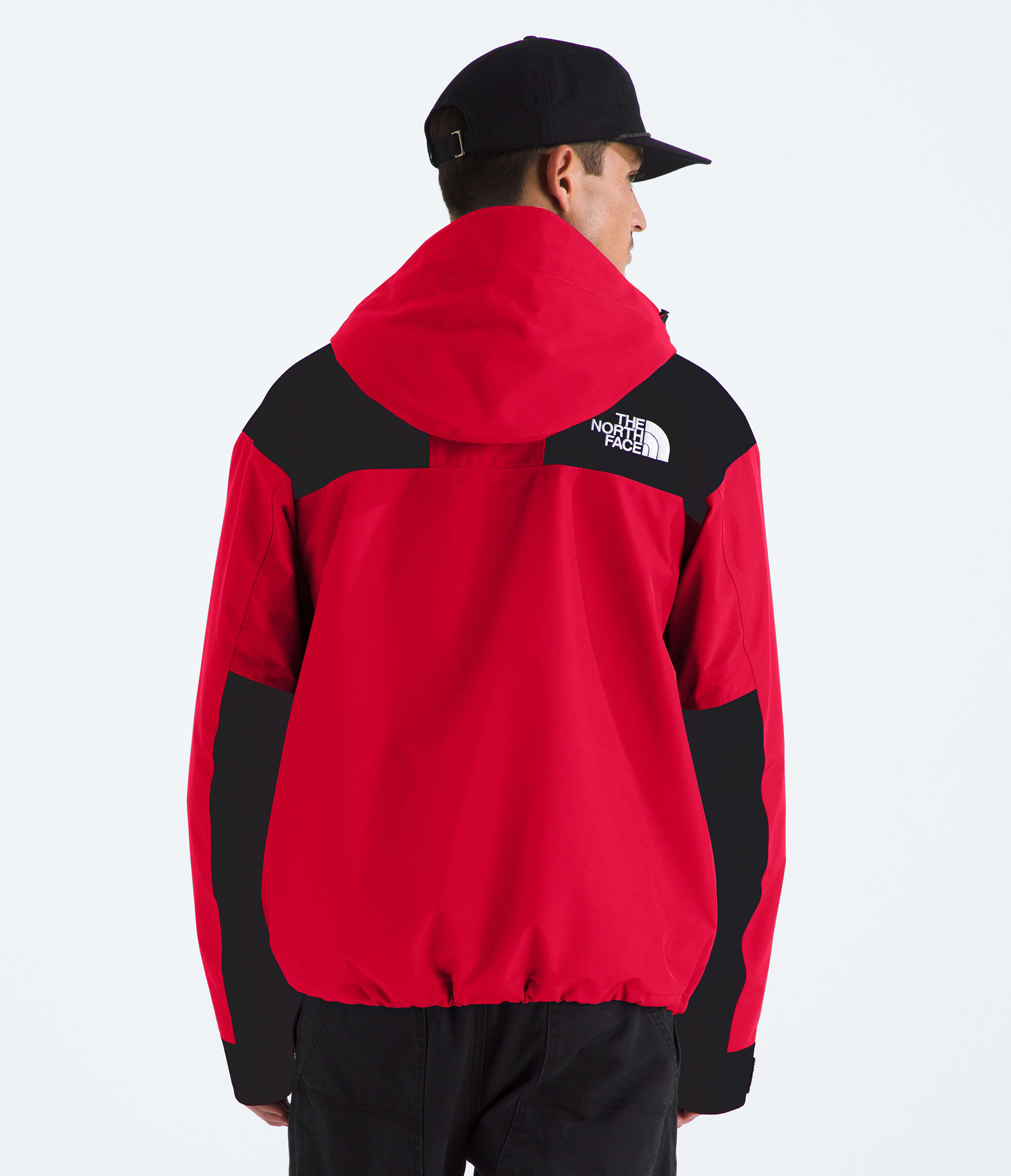 GORETEX Mountain Jacket TNF BACK