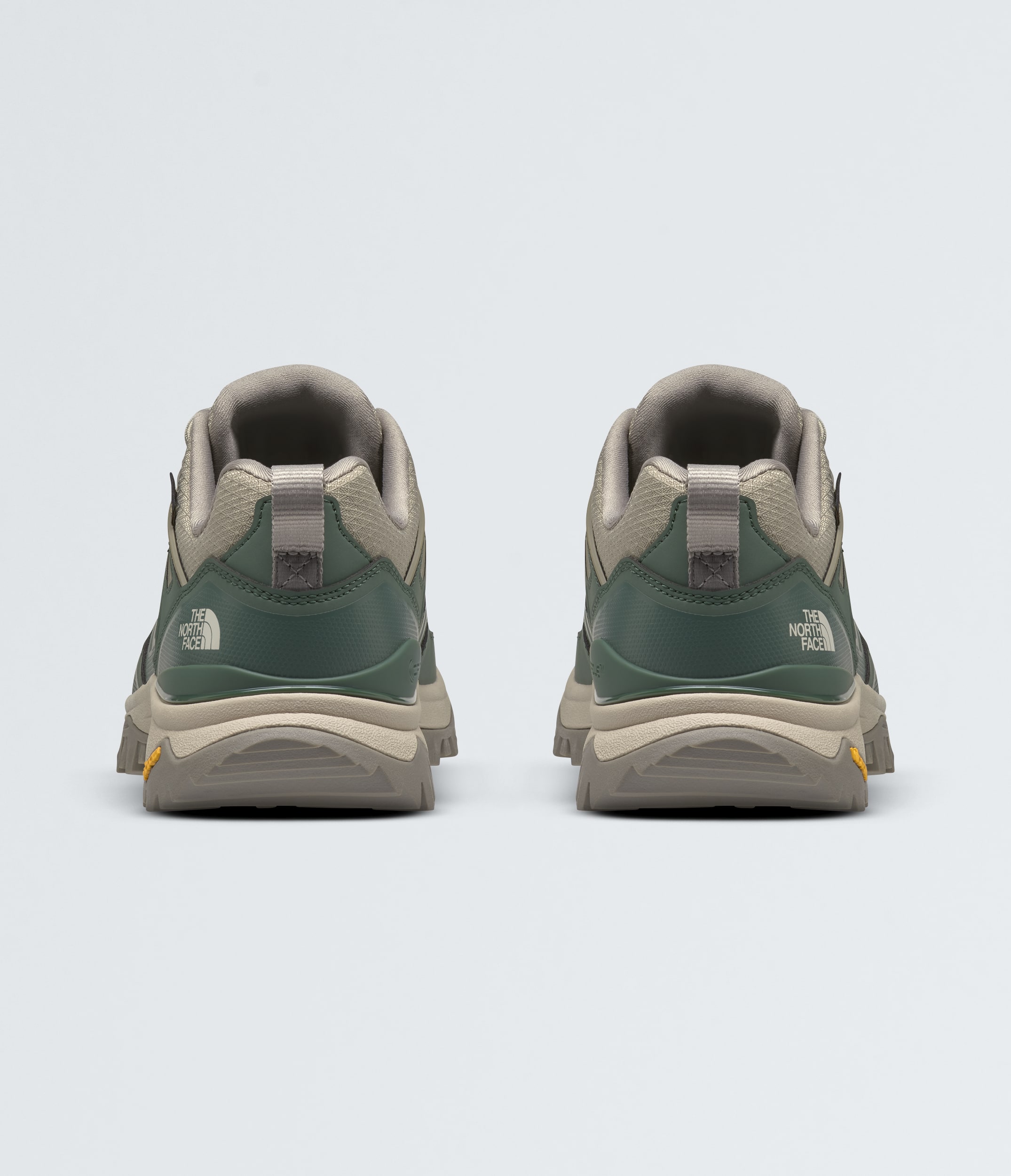 Womens Hedgehog GORETEX Shoes TNF BACK