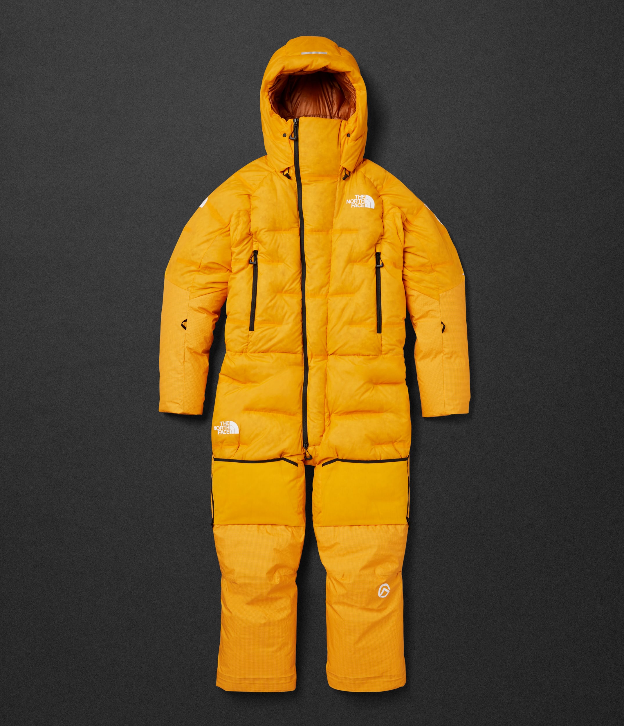 Combinaison Himalayan pour hommes TNF ALTFRONT