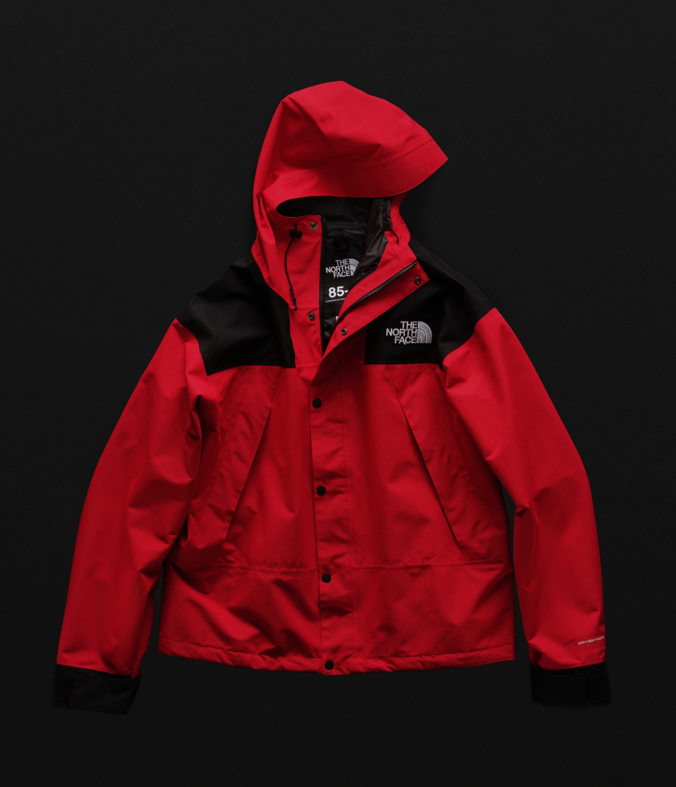 Manteau de montagne Mono DRYVENT pour femmes TNF HEROFLYON