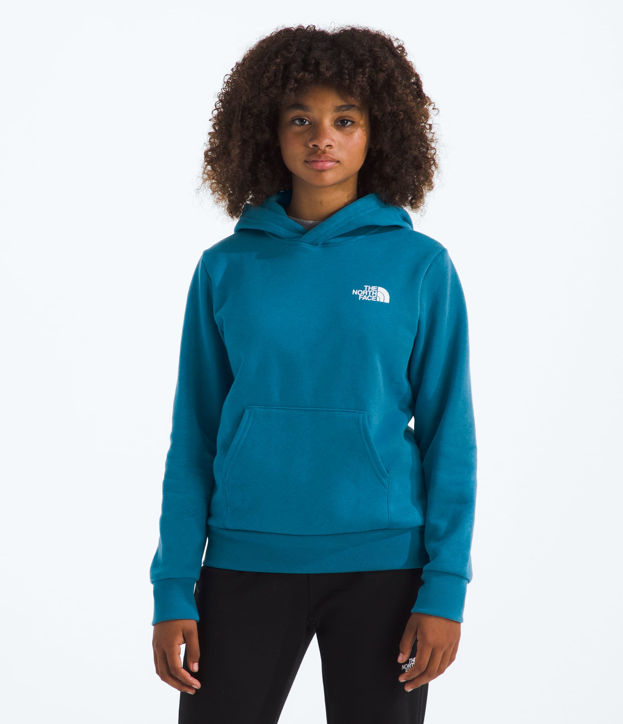 Boys  Girls Evolution Box NSE Pullover Hoodie TNF HERO3