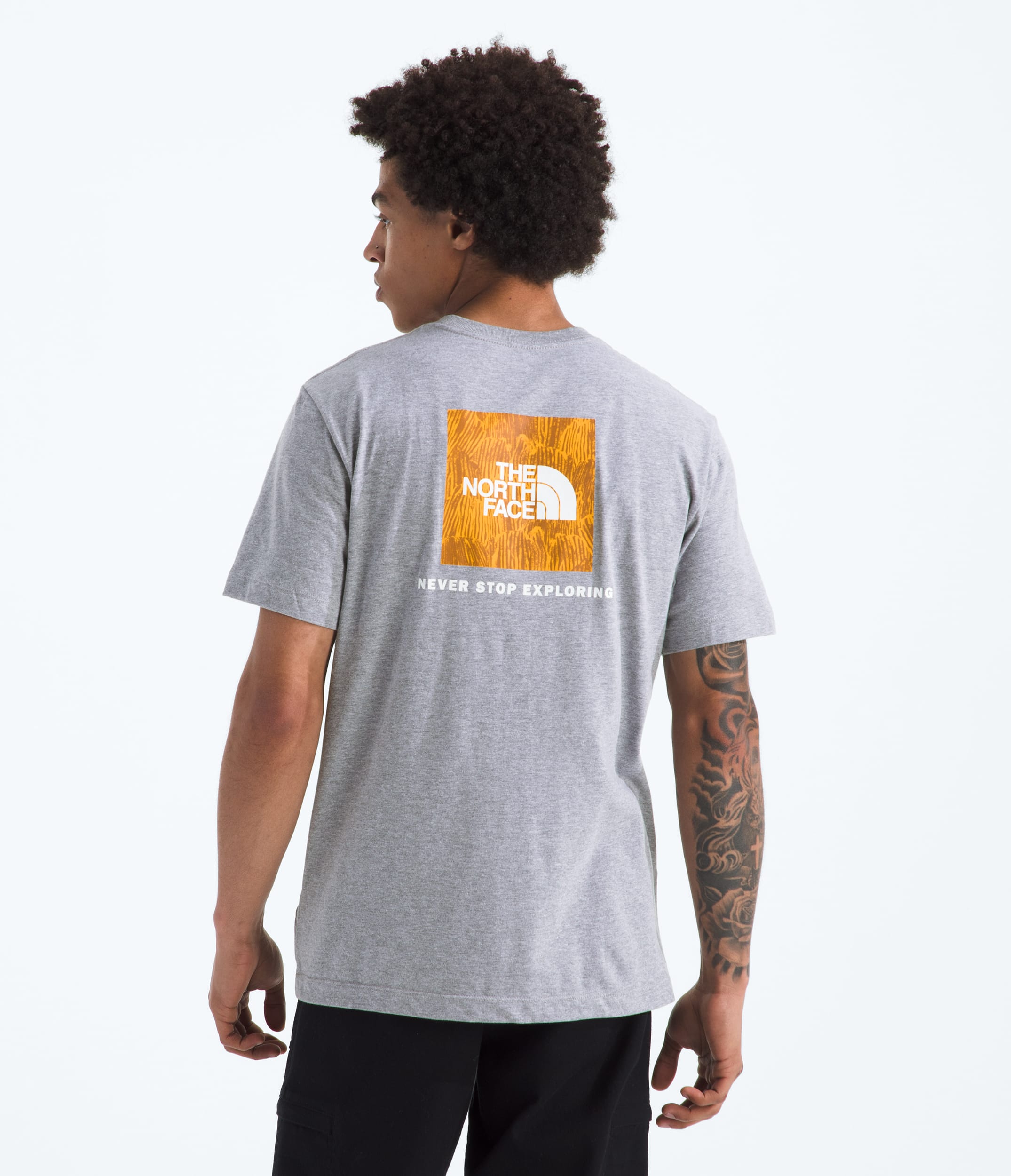 Mens Evolution Regenerative Ink Box NSE ShortSleeve TeeGraphic TNF Main