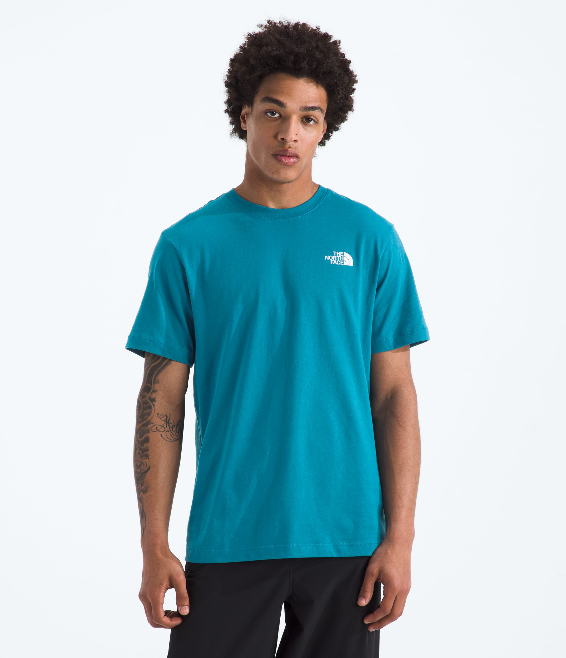 Mens Evolution Regenerative Ink Box NSE ShortSleeve TeeGraphic TNF BACK