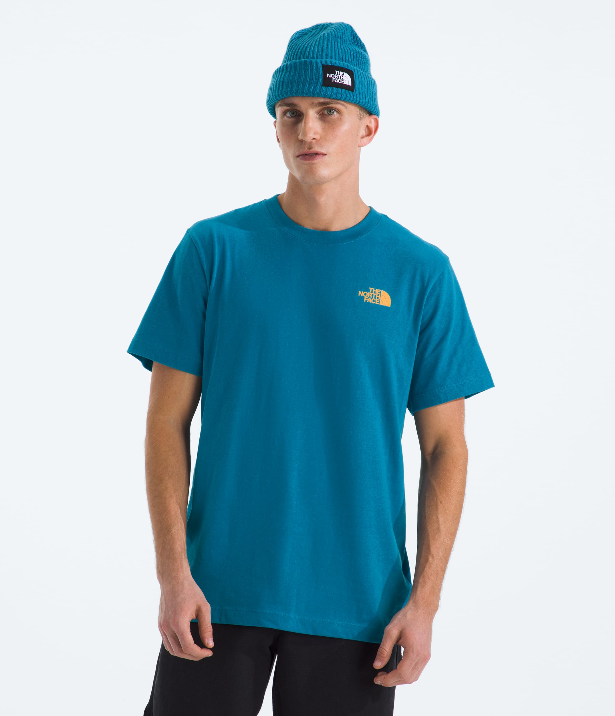 Men's Evolution Tent Short-Sleeve Tee—Graphic | The North Face