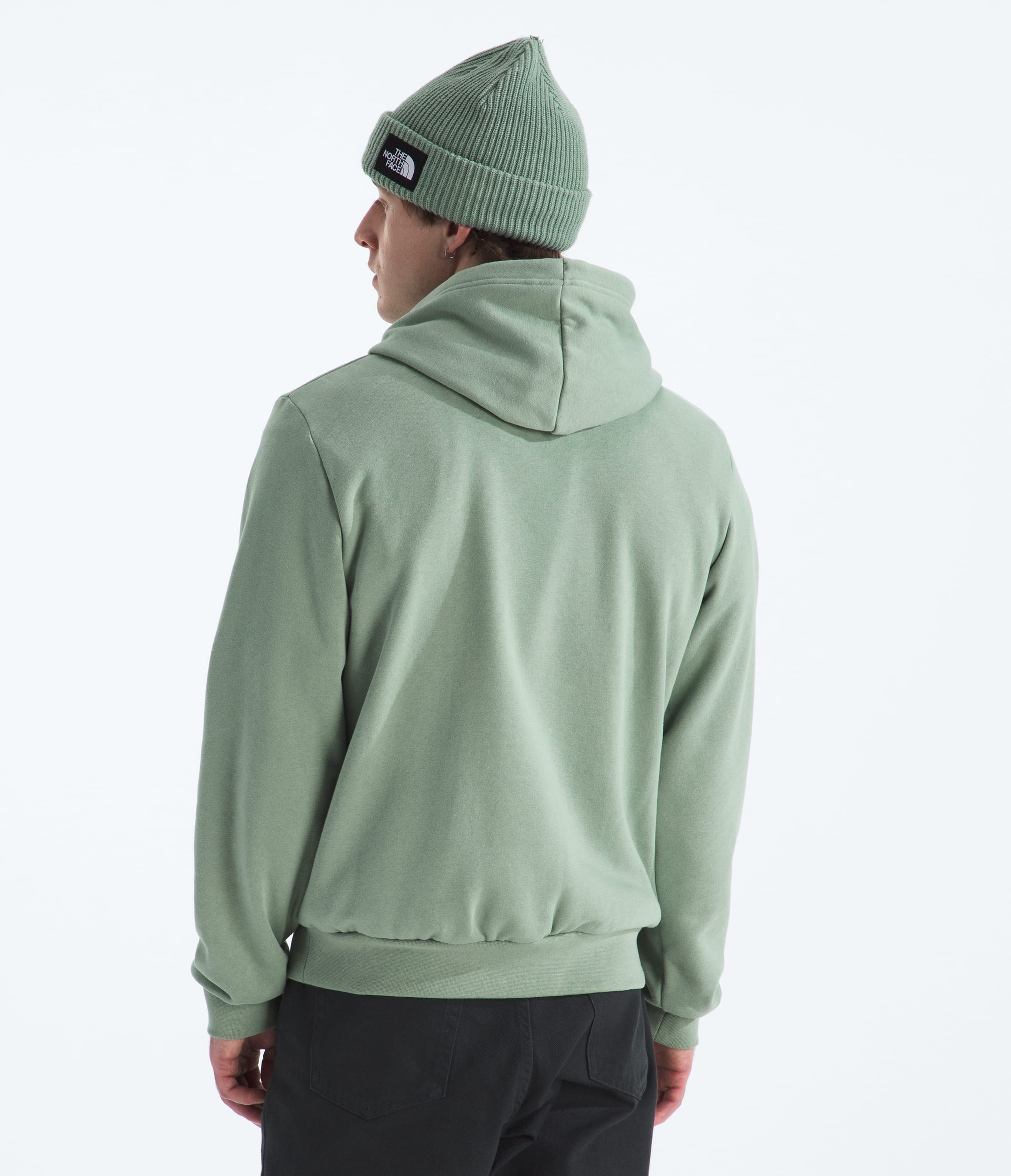 Mens Evolution Simple Dome Regular Hoodie TNF BACK