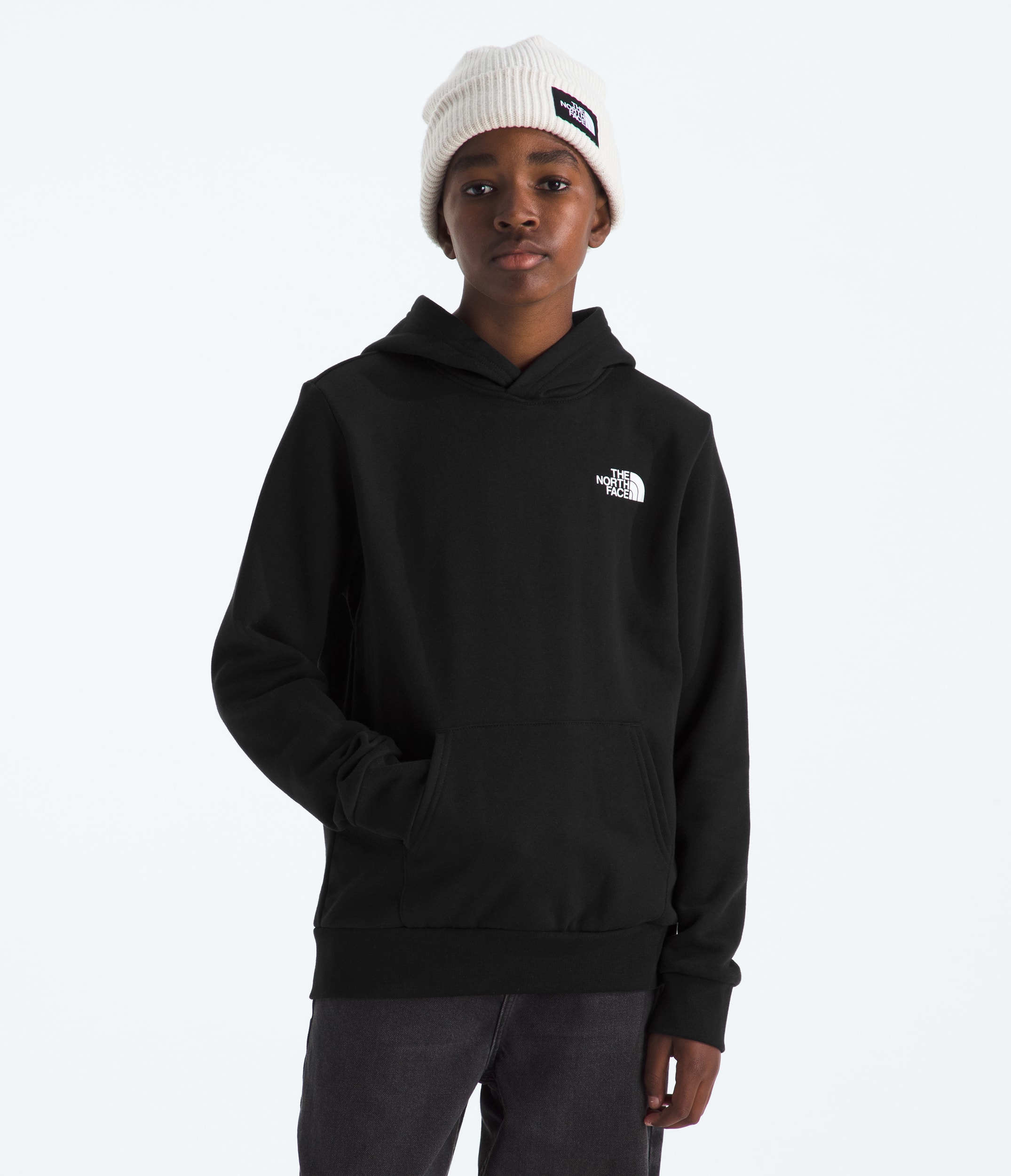 Boys  Girls Evolution Box NSE Pullover HoodieGraphic TNF TNF Black BACK