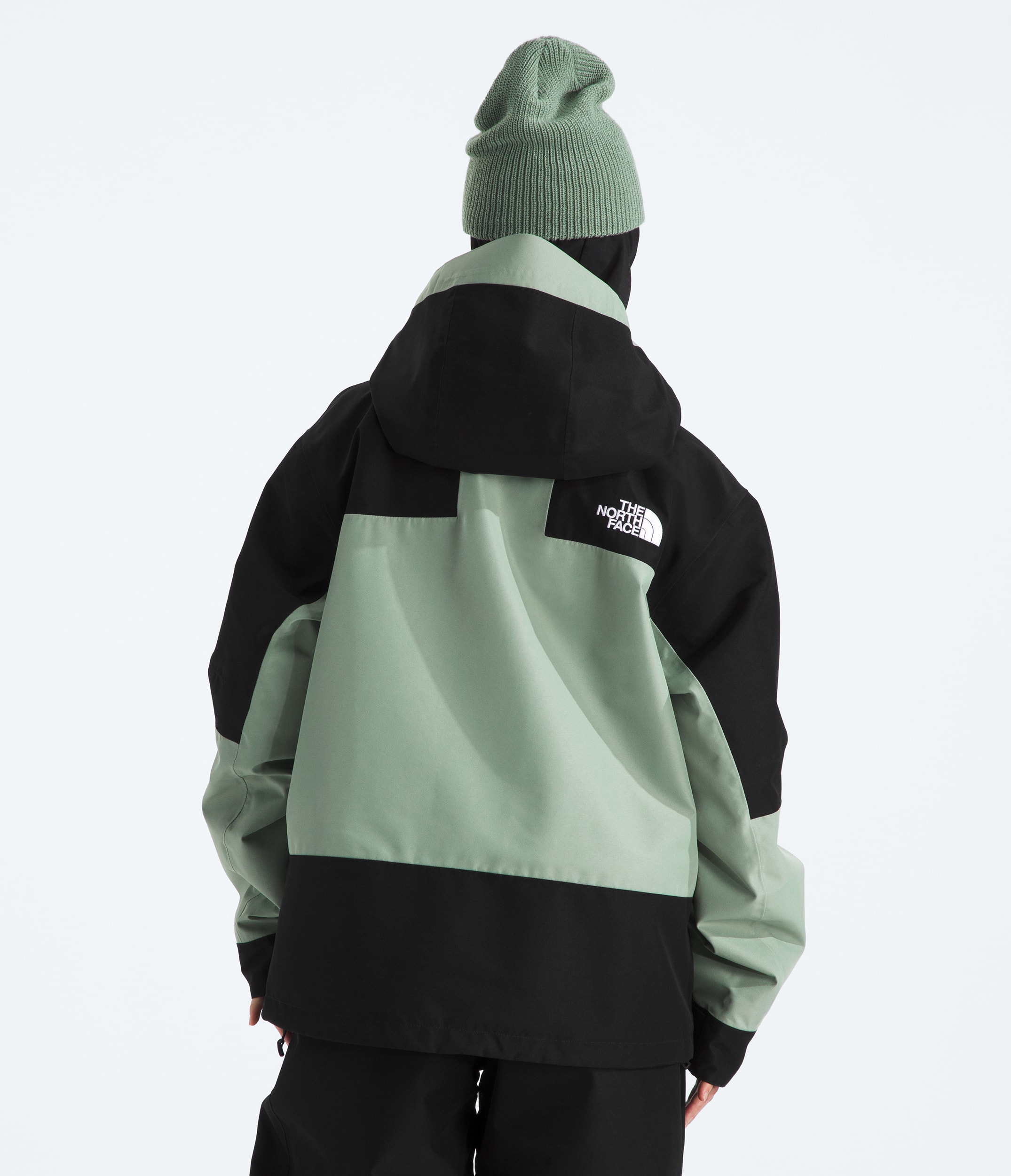 Womens GORETEX Hex Jacket TNF BACK