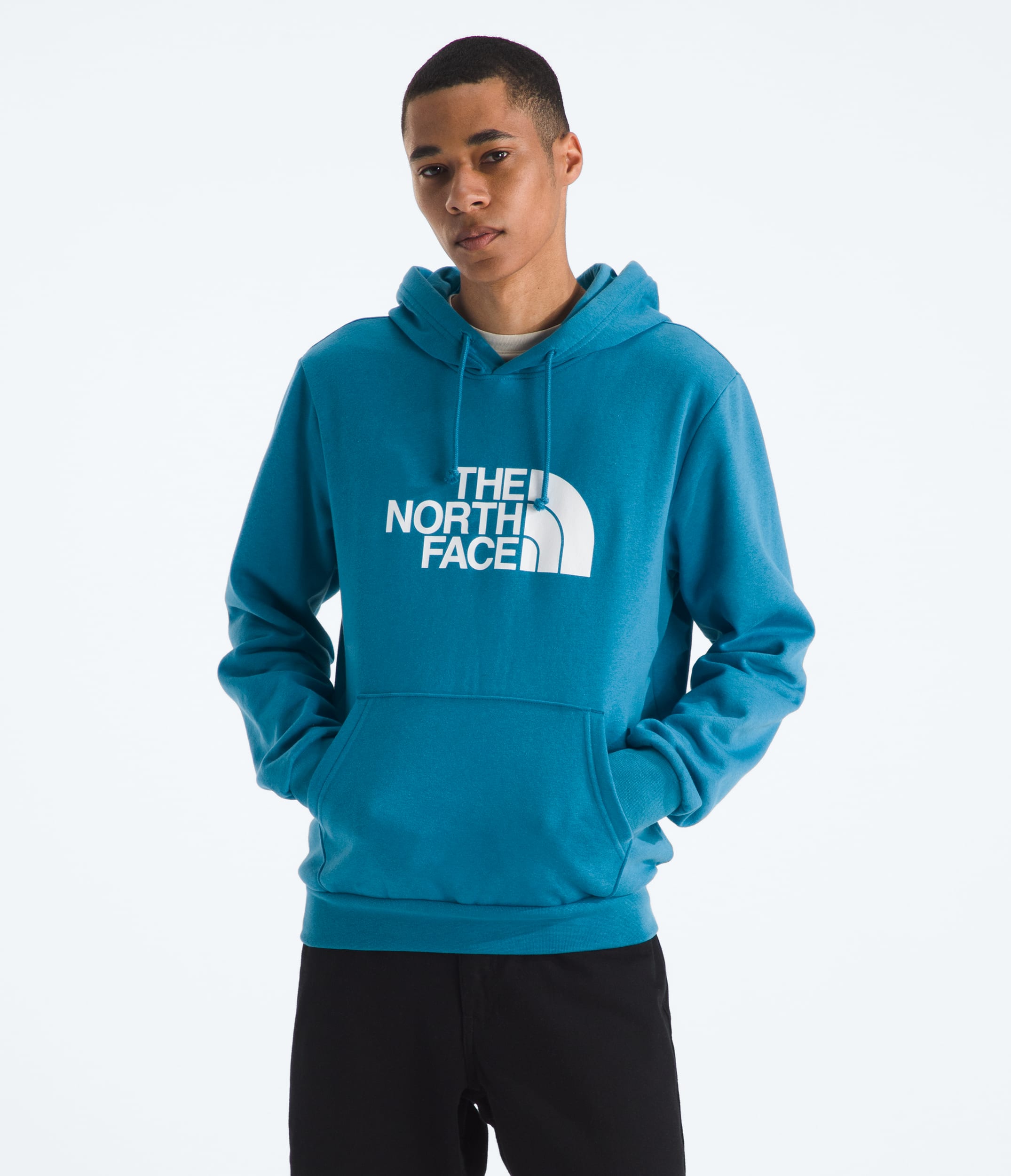 Mens Evolution Half Dome Regular Hoodie TNF Main