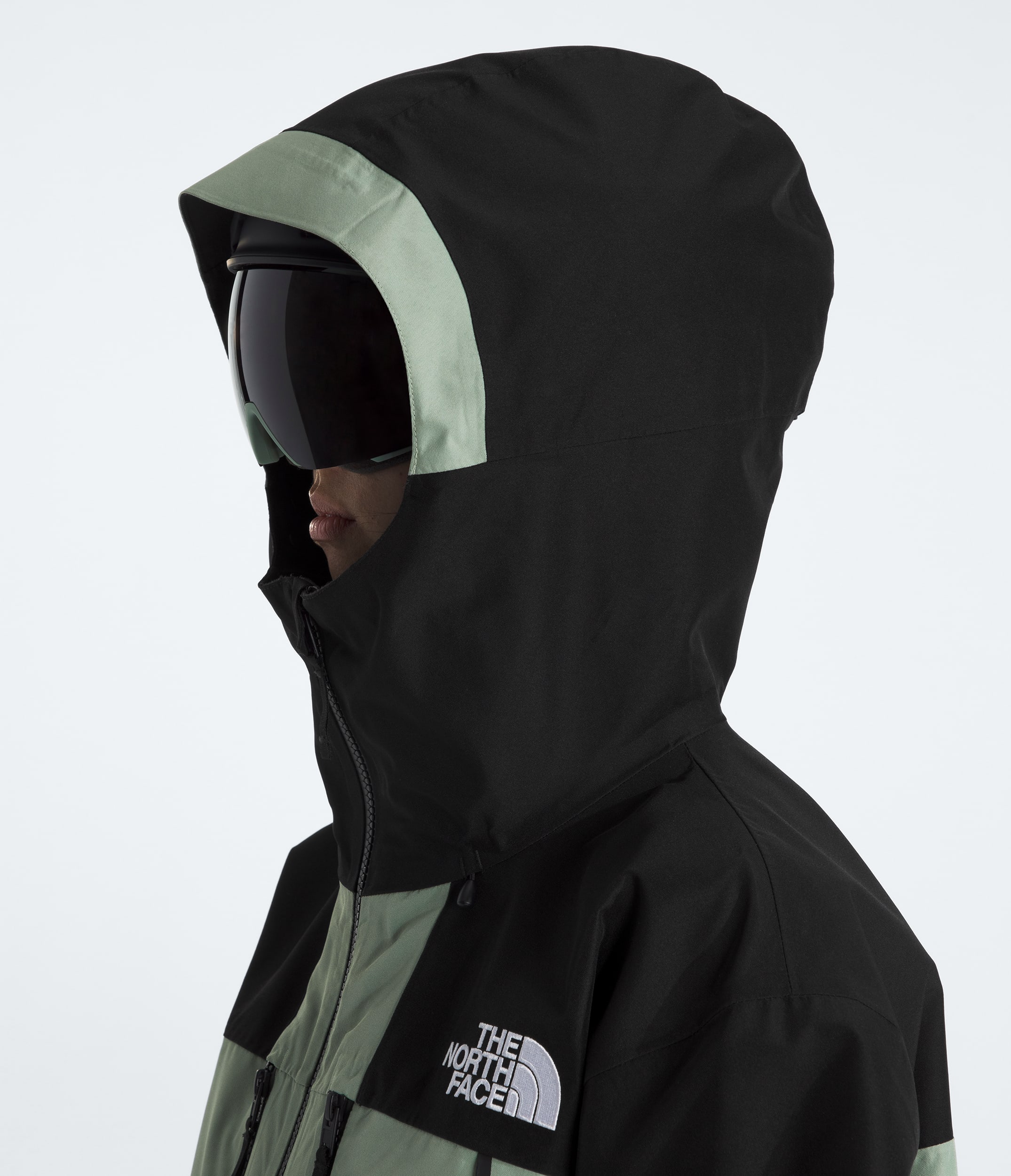 Women's GORE-TEX® Hex Jacket | The North Face