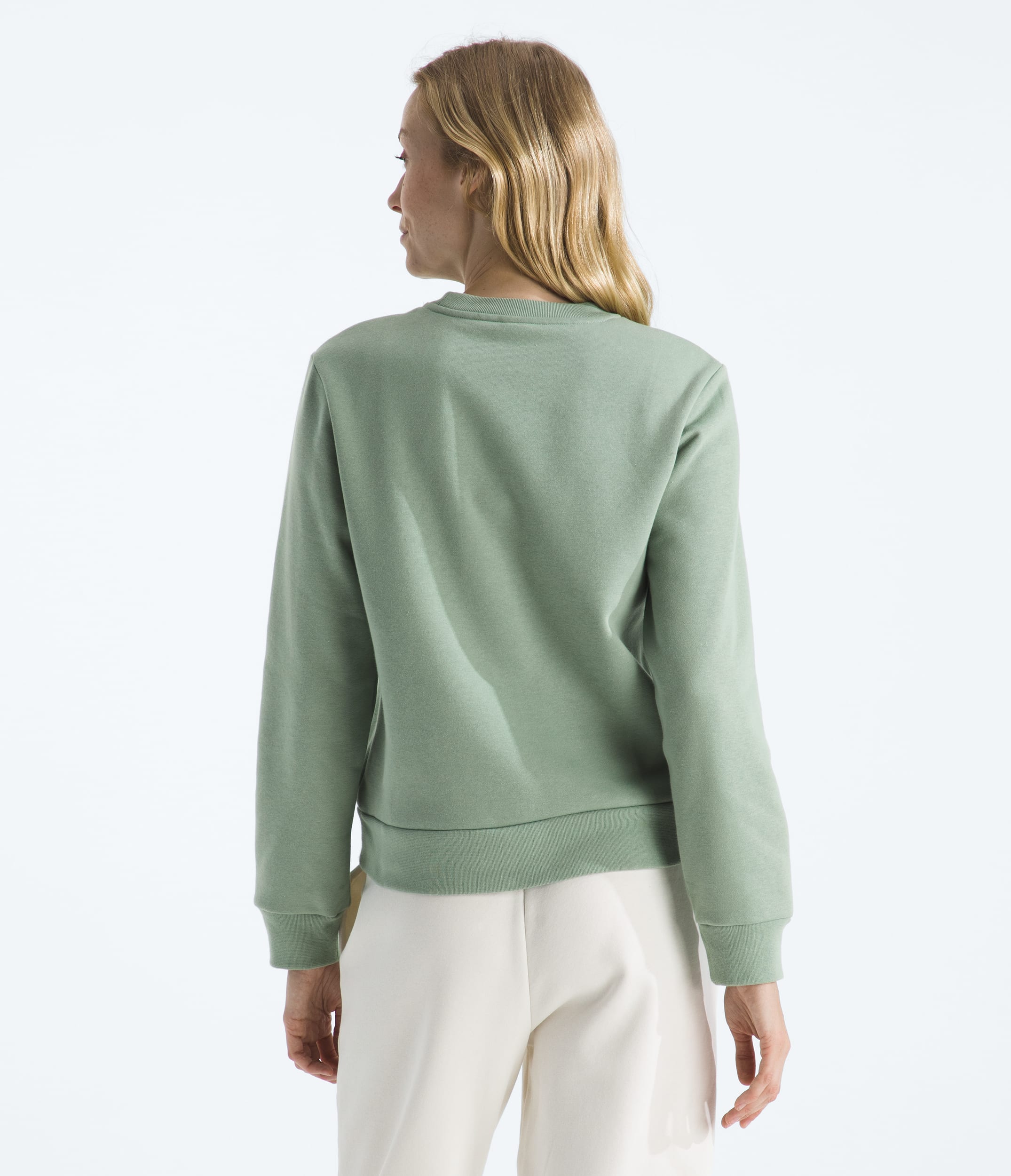 Womens Evolution Sketch Logo Half Dome CrewGraphic TNF BACK