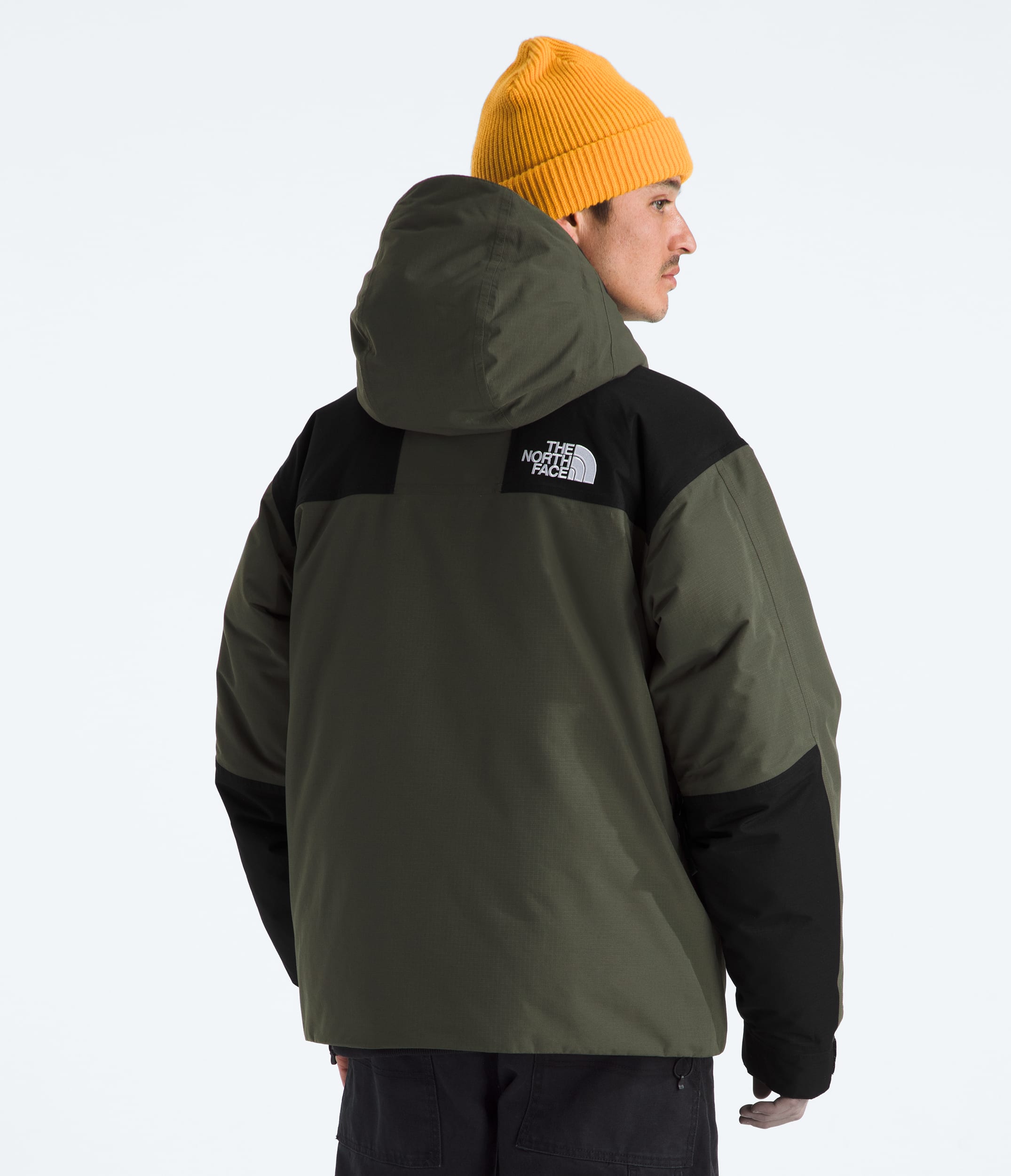 Mens Mountain Down Jacket TNF BACK