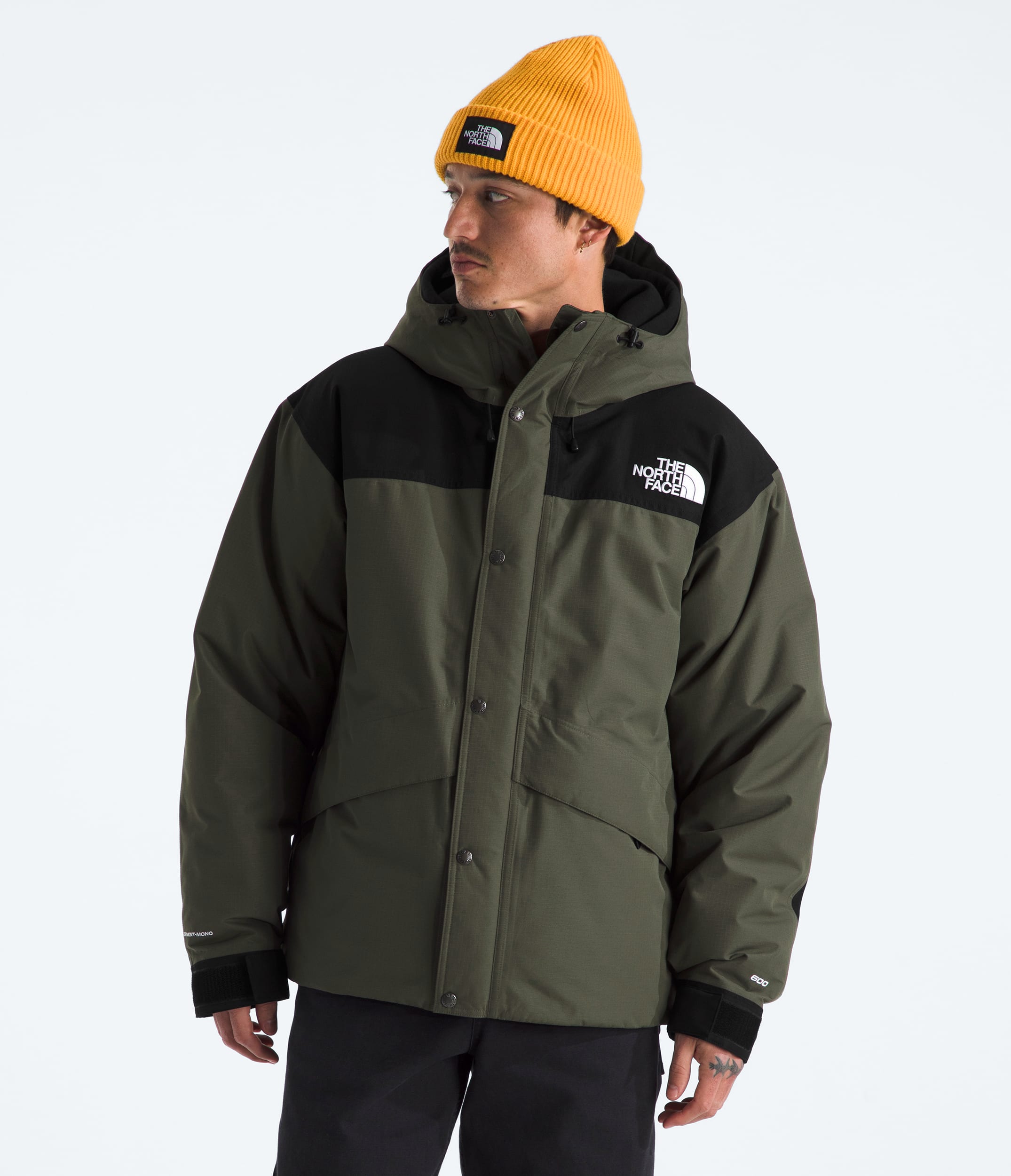 Mens Mountain Down Jacket TNF Main