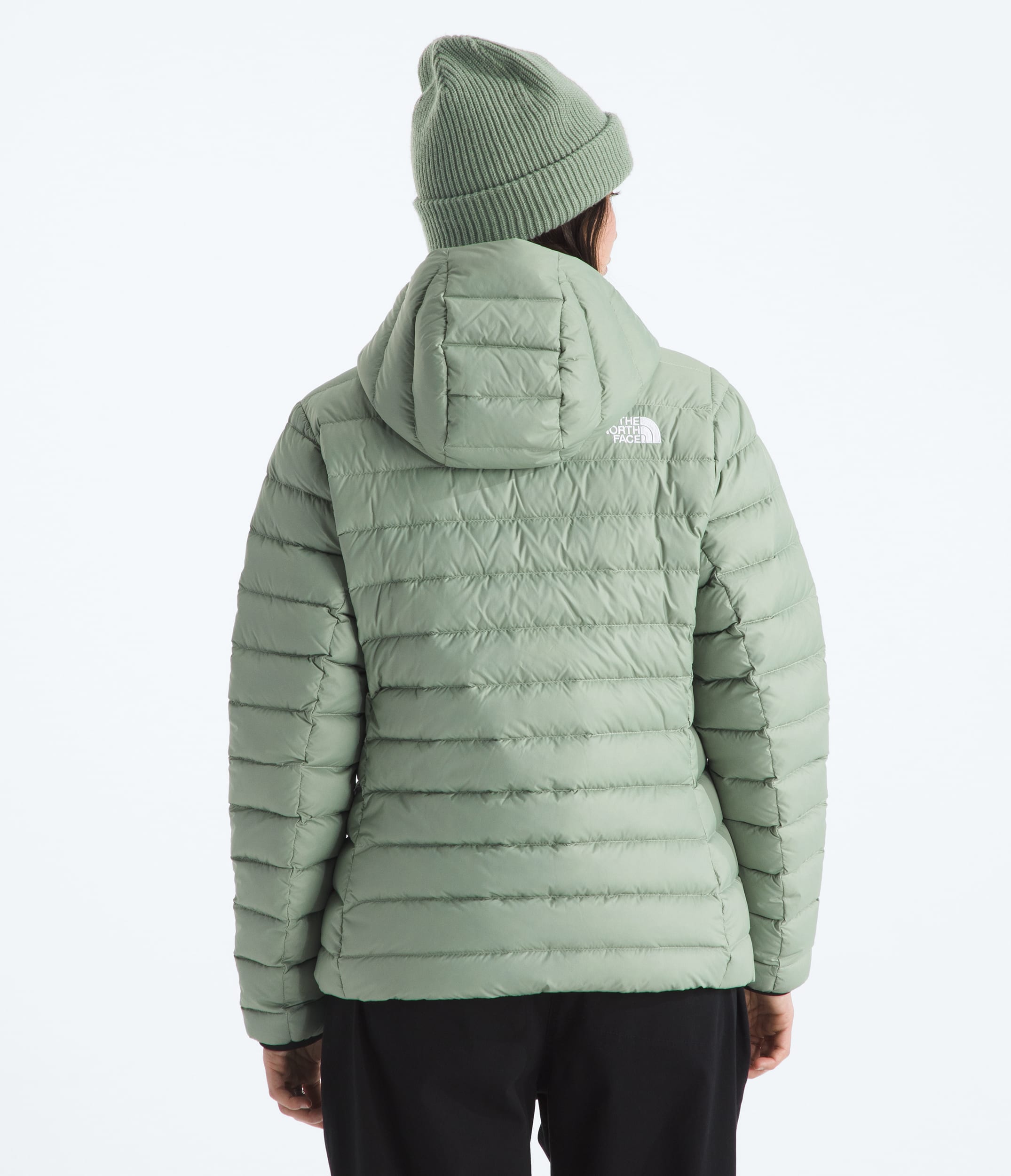 Womens Classic Down Hooded Jacket TNF BACK
