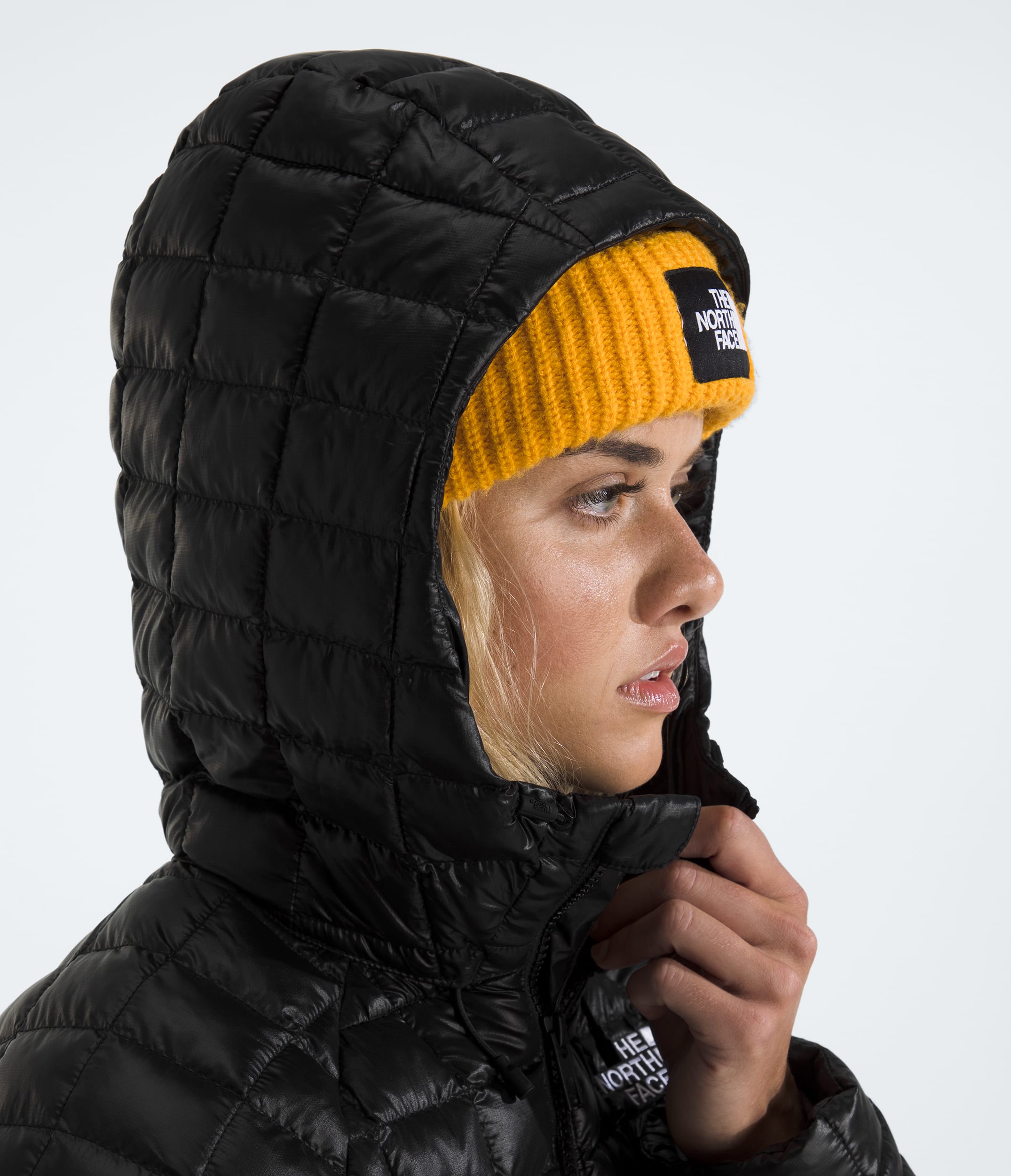 Womens THERMOBALL Hooded Parka TNF MODELHOOD2