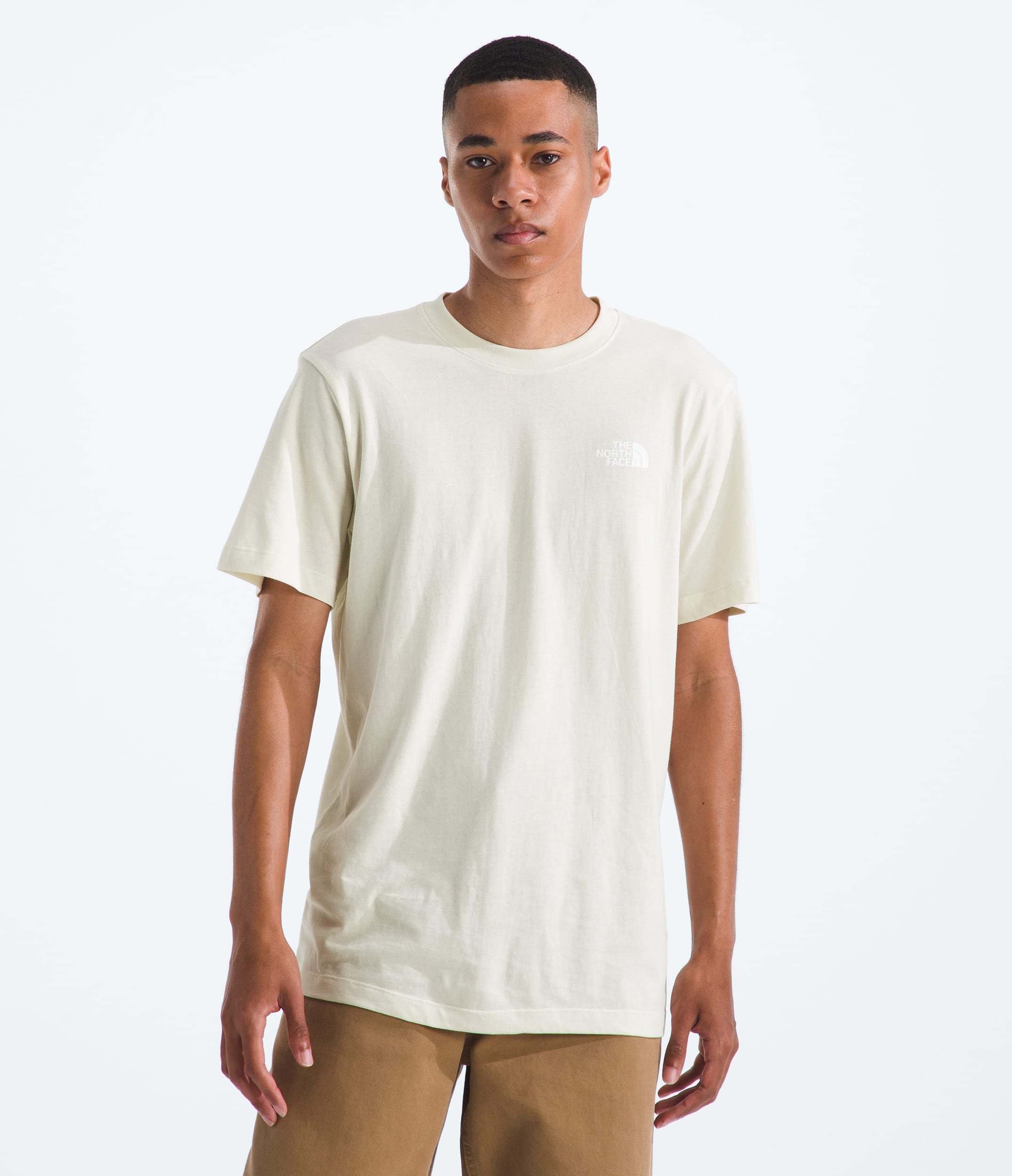 Mens Evolution Sun Halos Box NSE ShortSleeve TeeGraphic TNF BACK