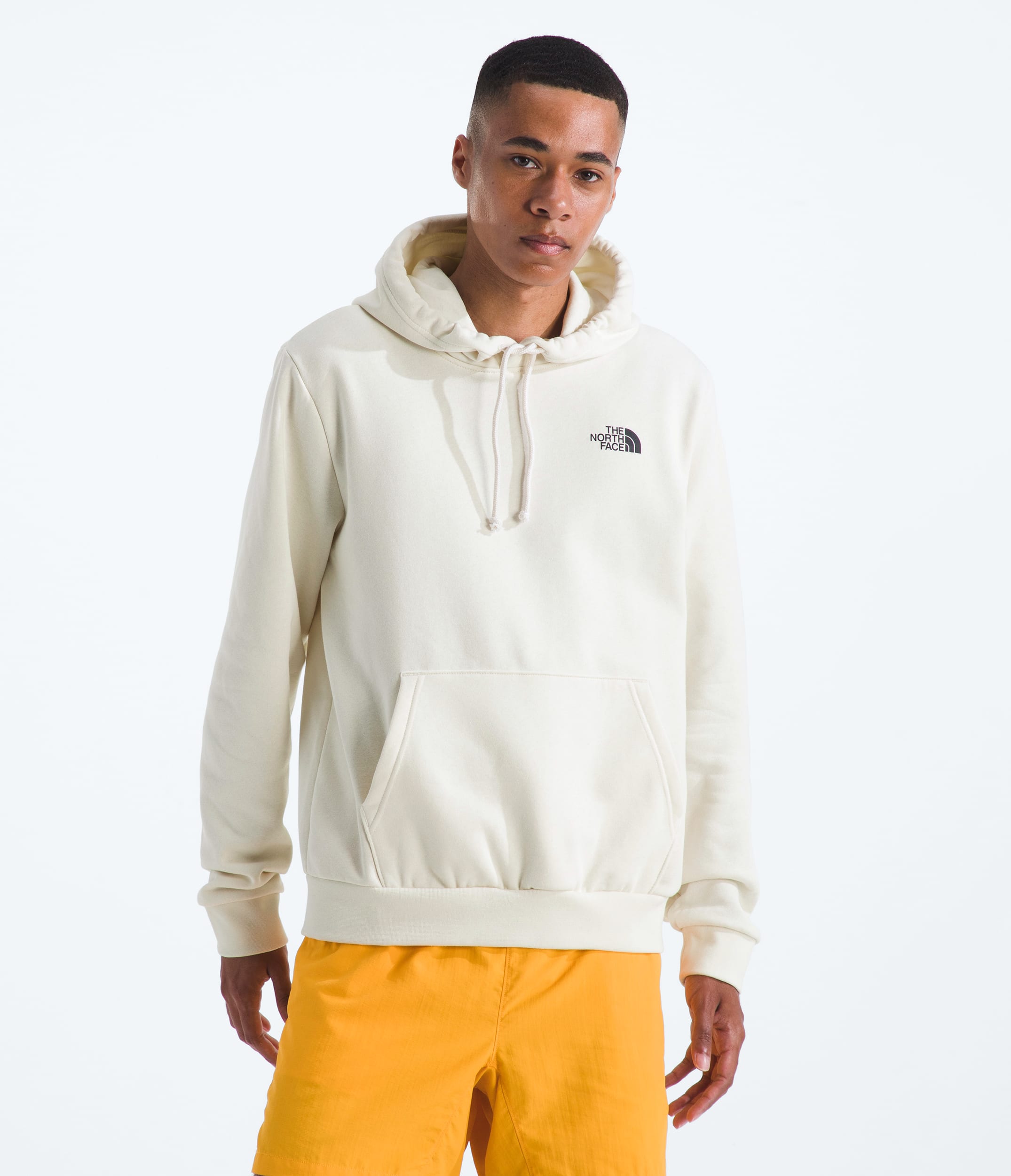 Mens Evolution Van Life HoodieGraphic TNF BACK