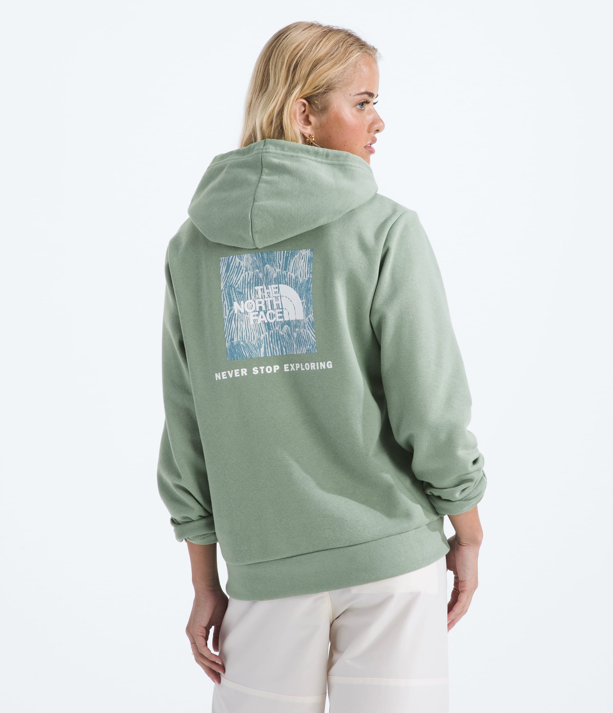 Womens Evolution Box NSE Fill HoodieGraphic TNF Main
