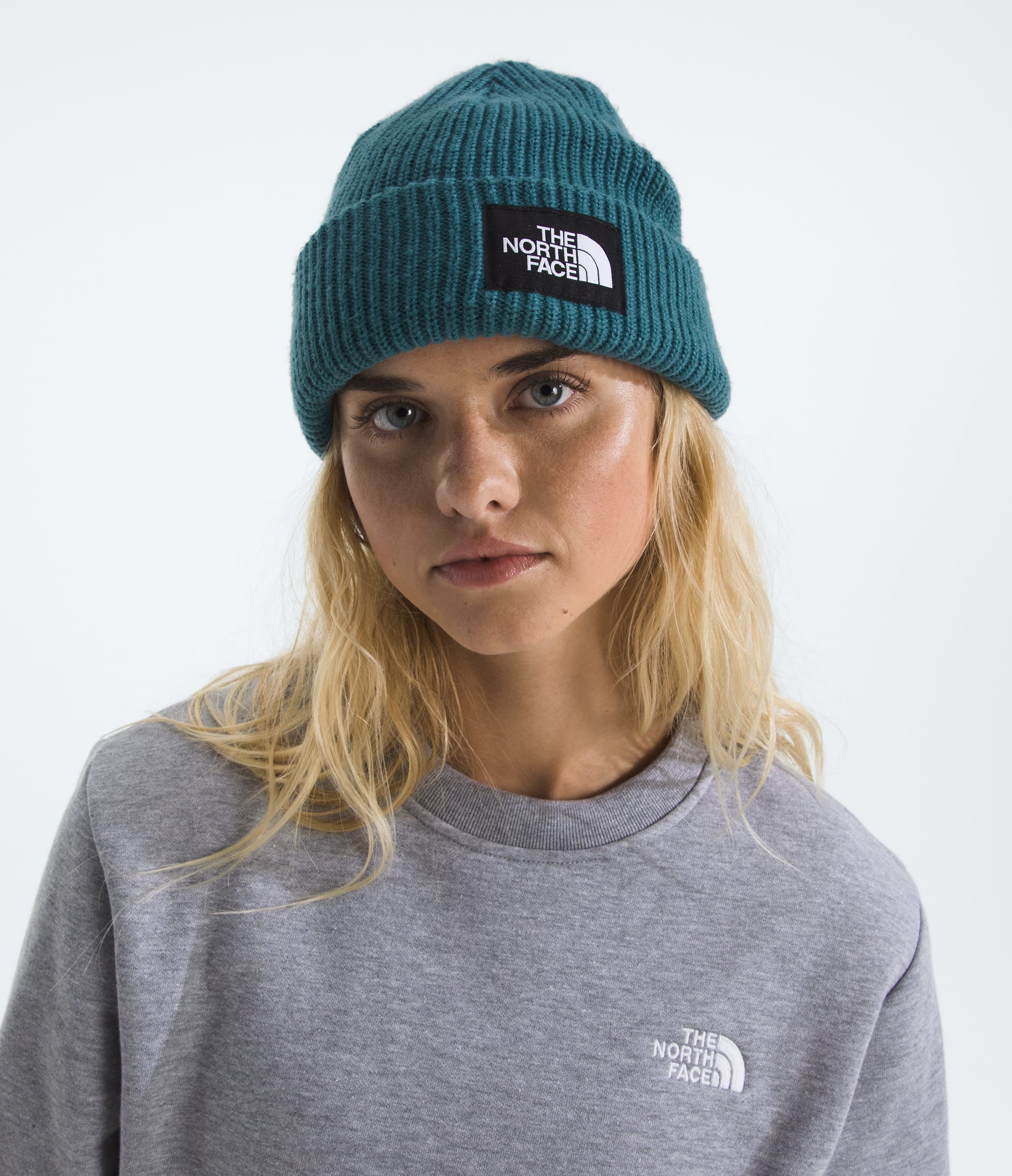 Salty Lined Beanie TNF MODELBACK