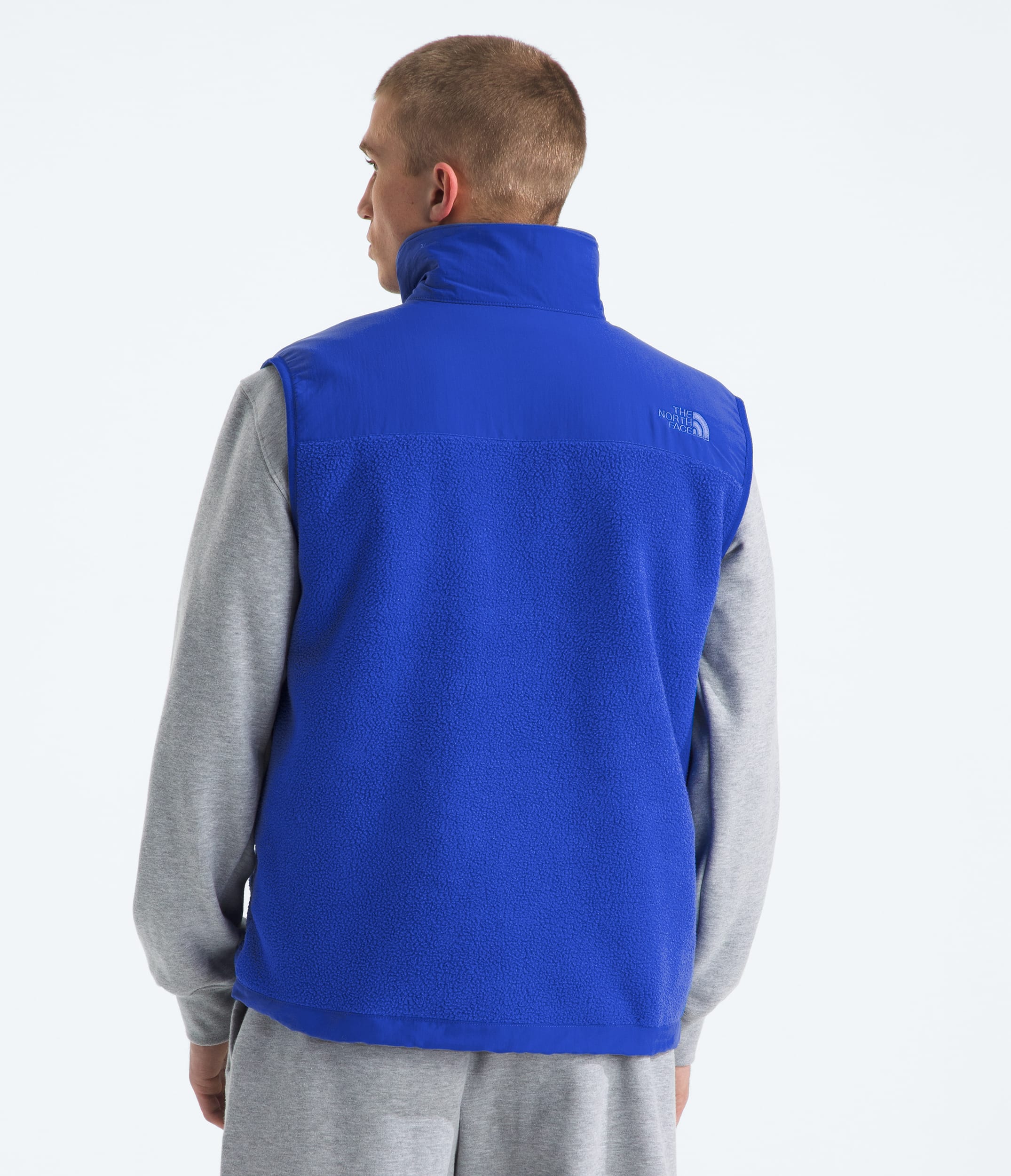 Men's Retro Denali DTM Vest | The North Face