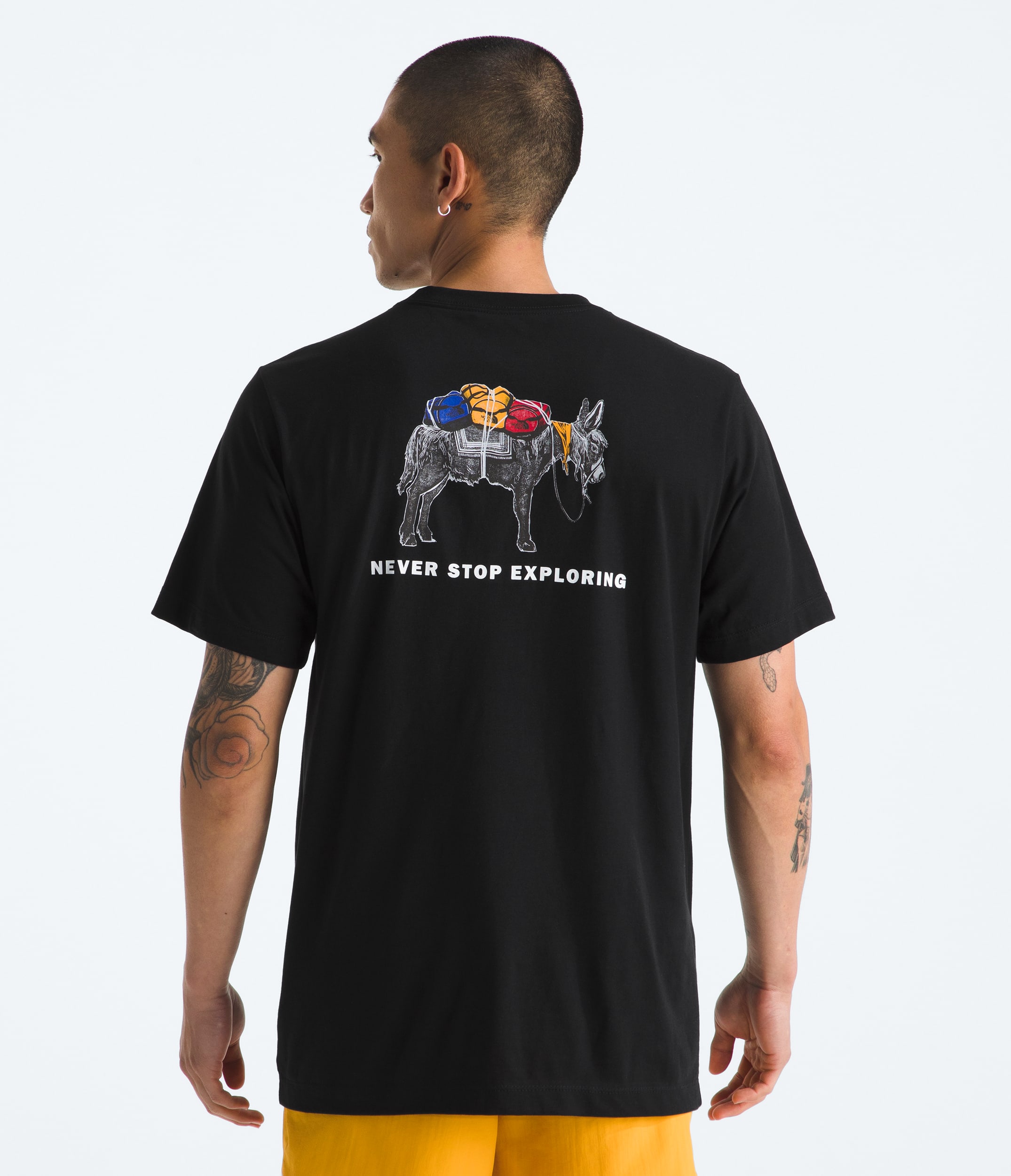 Mens Evolution Pack ShortSleeve TeeGraphic TNF Main