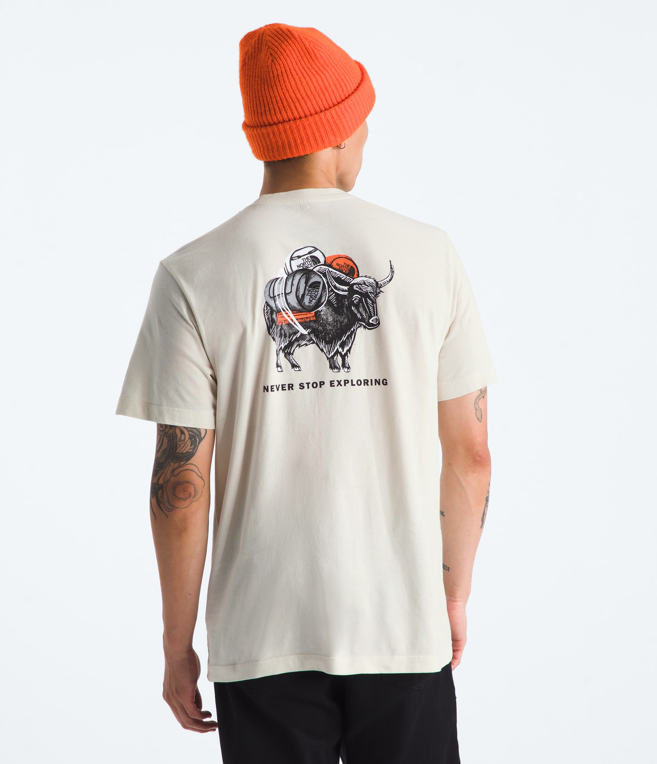 Mens Evolution Vault Tri Pack ShortSleeve TeeGraphic TNF Main