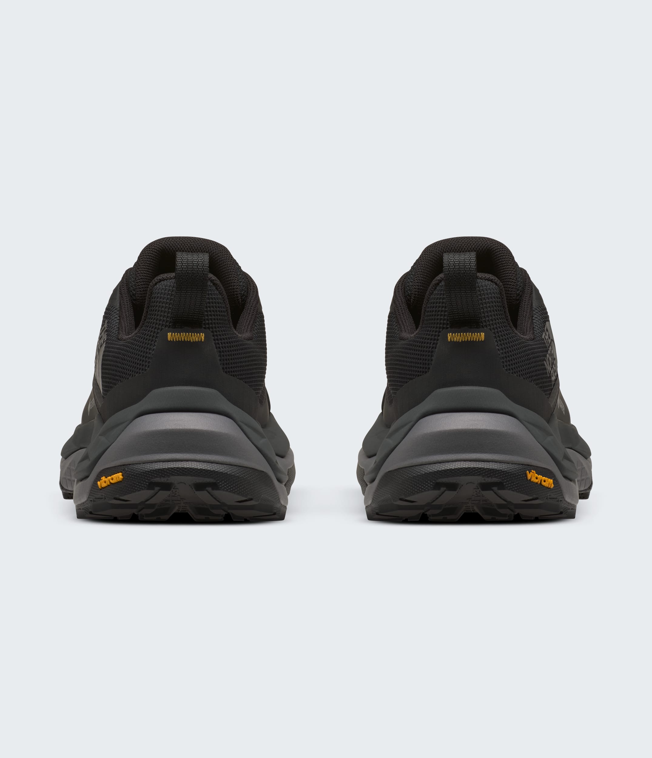 Chaussures Fastpack Ultra GORETEX pour femmes TNF BACK