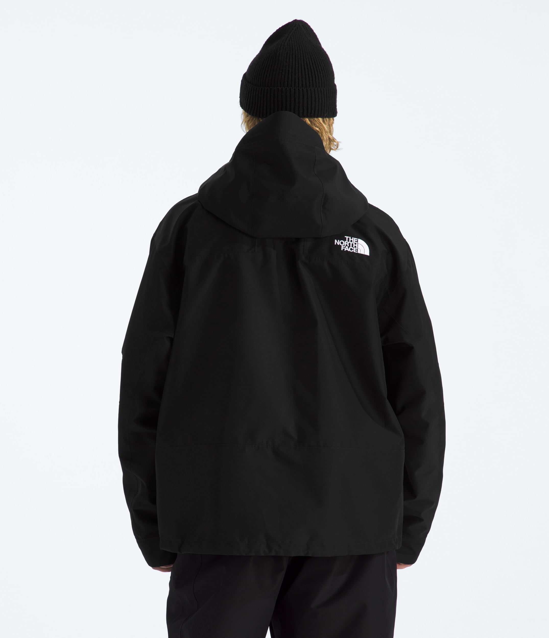 Mens GORETEX Hex Jacket TNF BACK