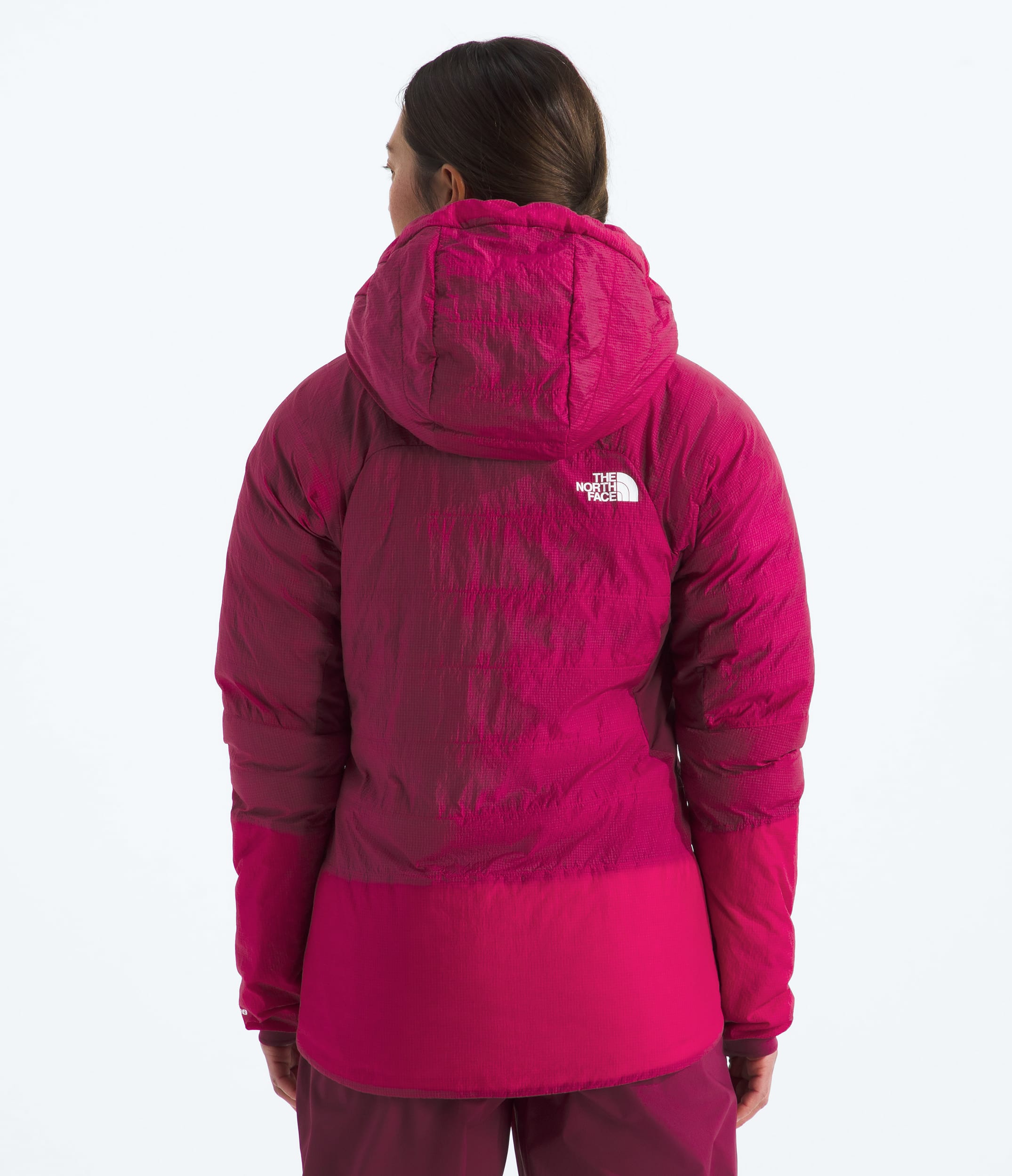 Womens Summit Series 5050 AMK Hoodie TNF BACK