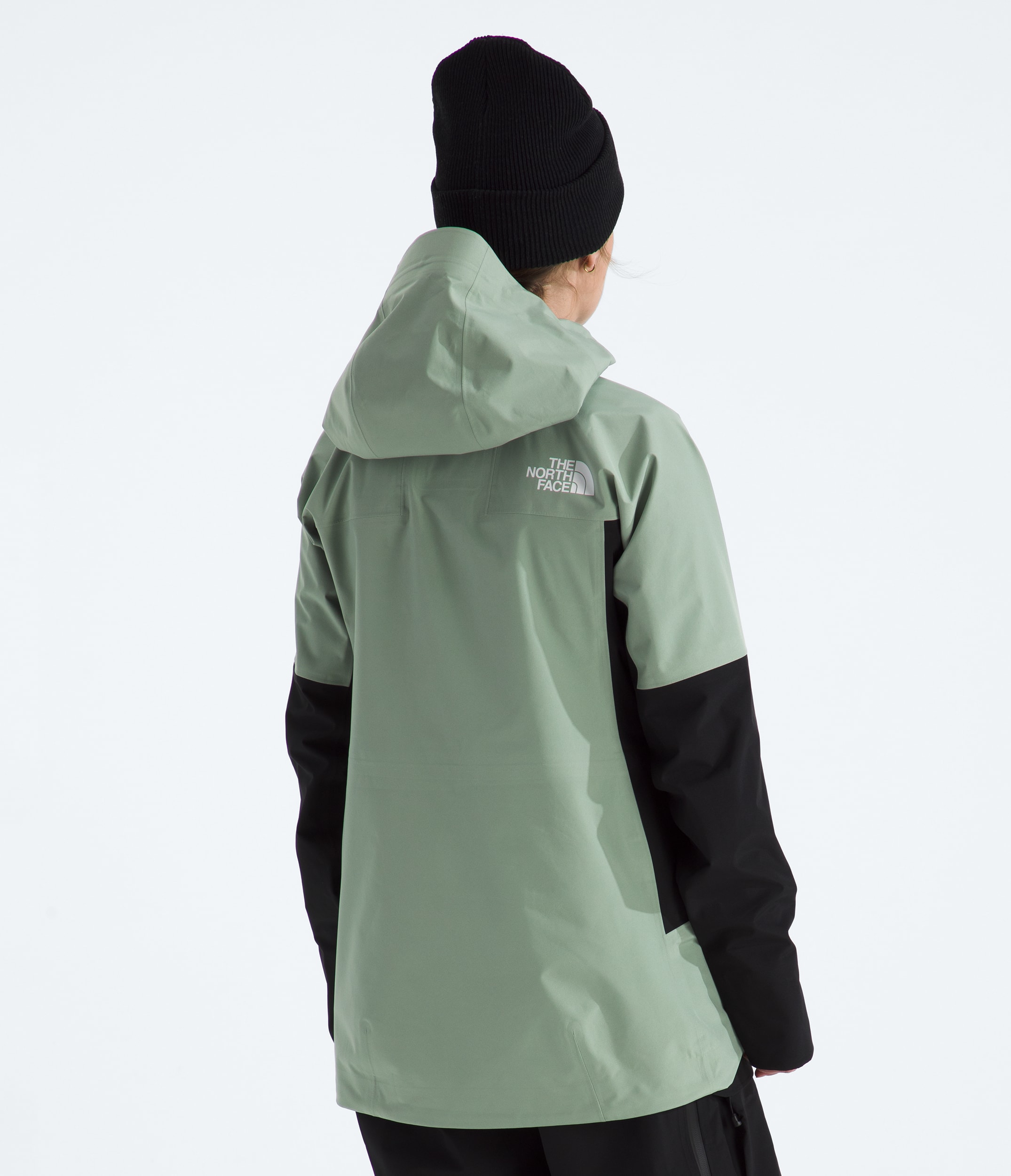 Womens Summit Series Eastwall GORETEX Jacket TNF BACK