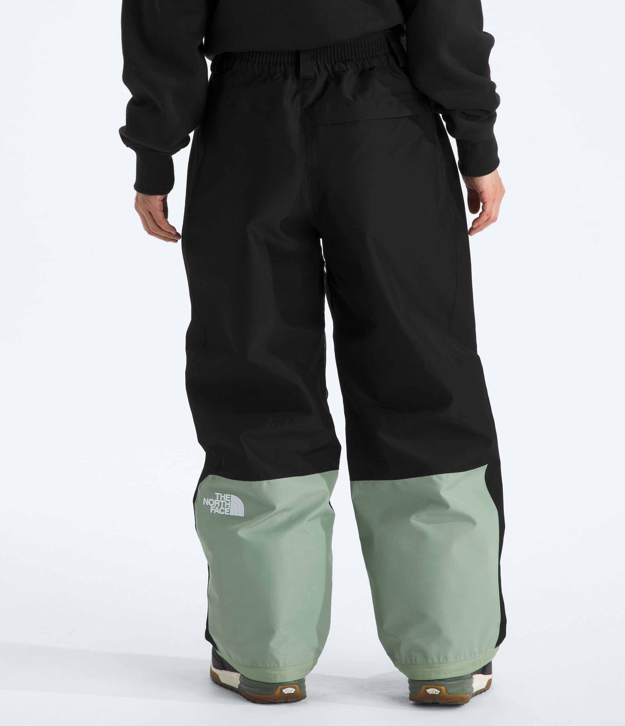 Womens GORETEX Hex Pants TNF BACK