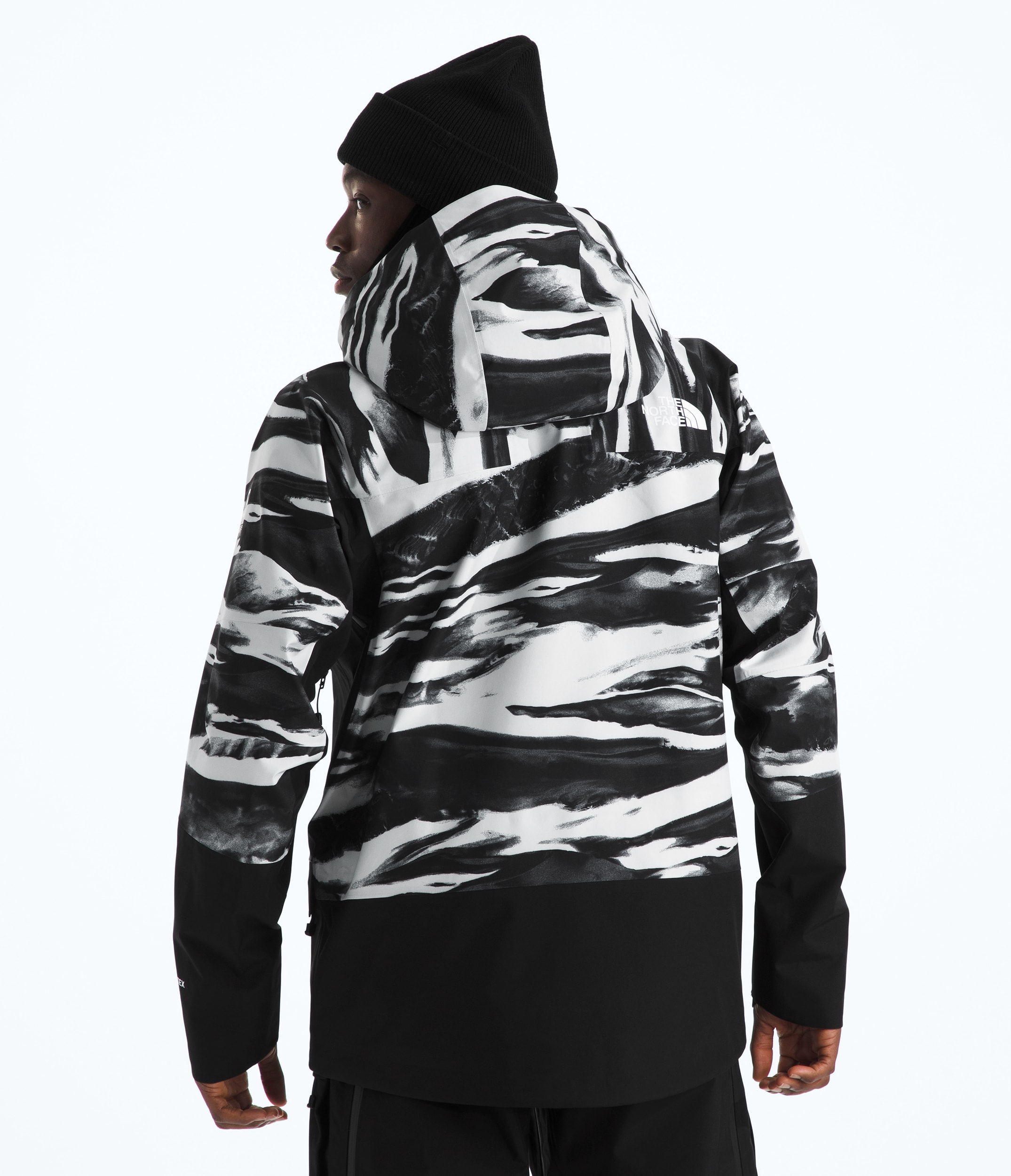 Mens Summit Series Verbier GORETEX JacketPrint TNF BACK