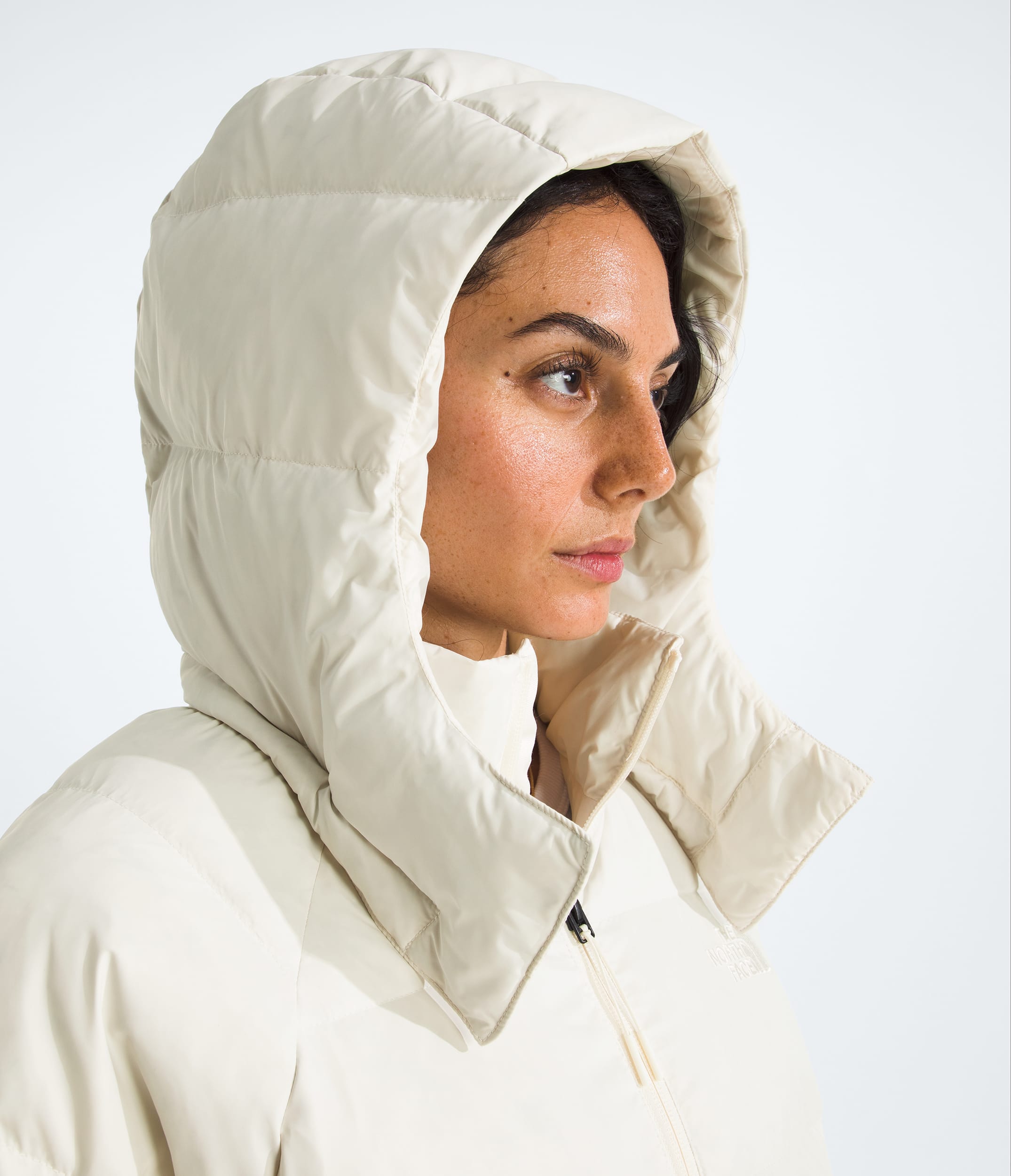 Womens Hydrenalite City Down Hooded Parka TNF MODELHOOD2