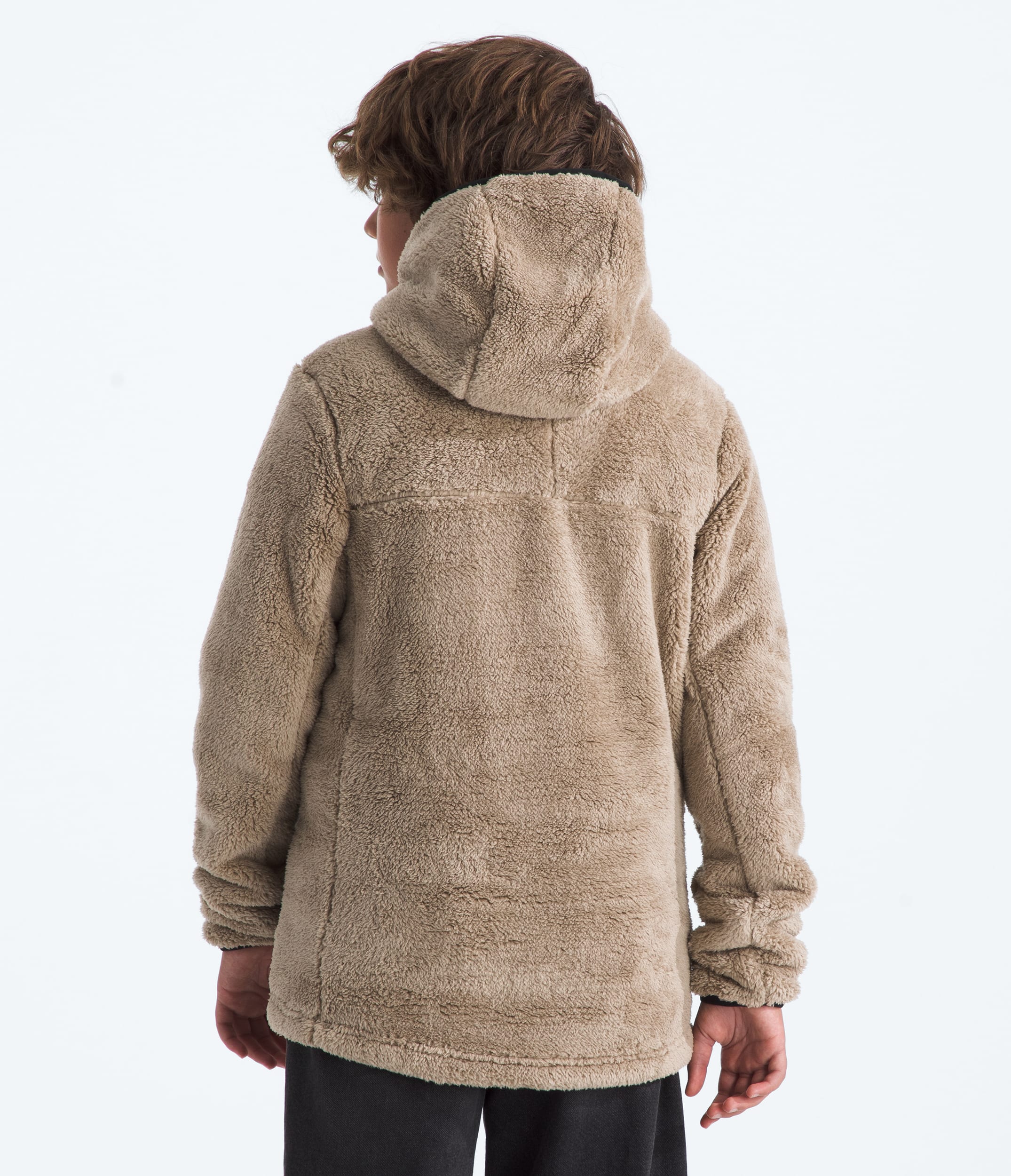 Boys Cabin Fleece Hoodie TNF BACK