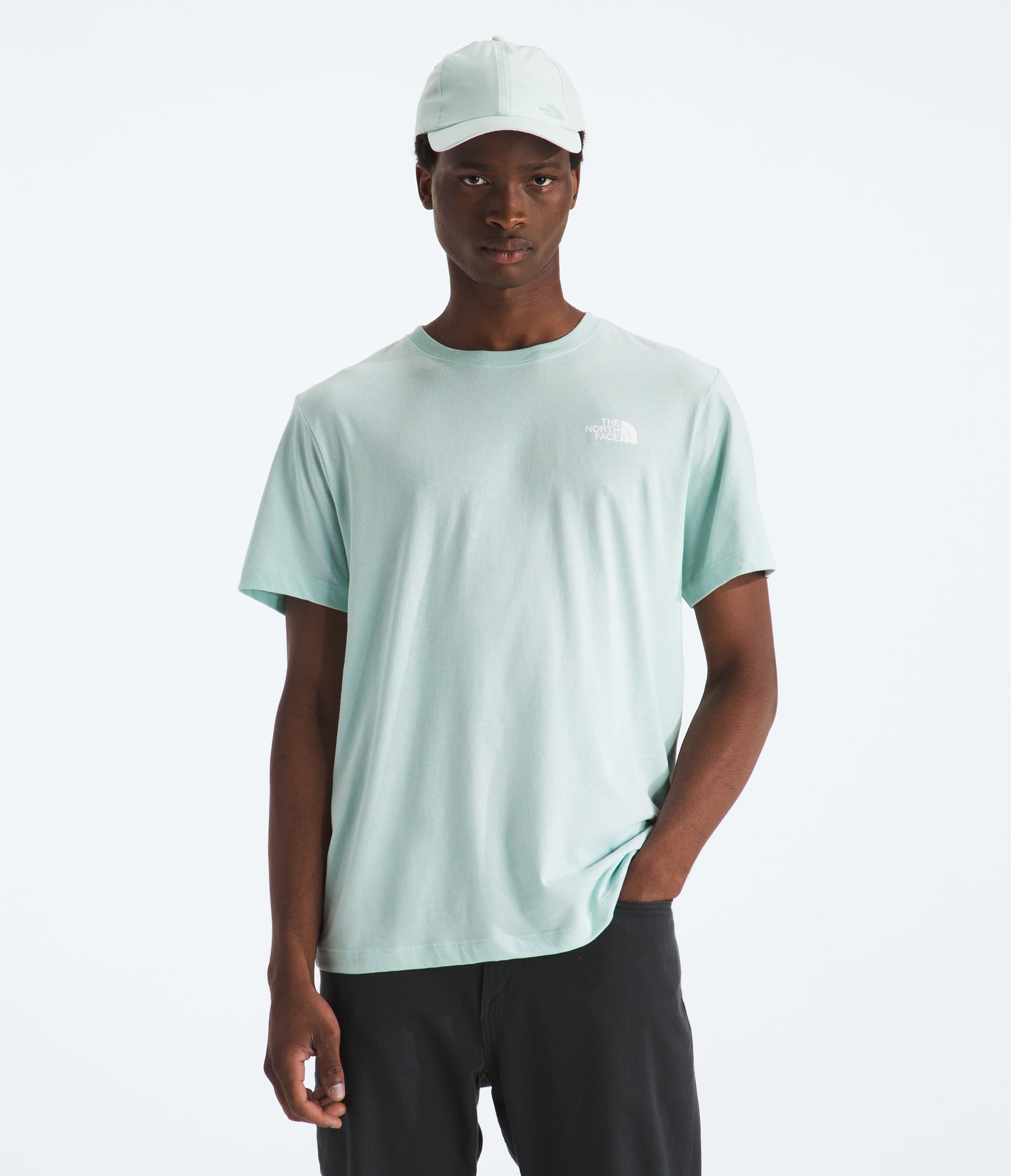 Mens Evolution Box NSE Regular ShortSleeve Tee TNF BACK
