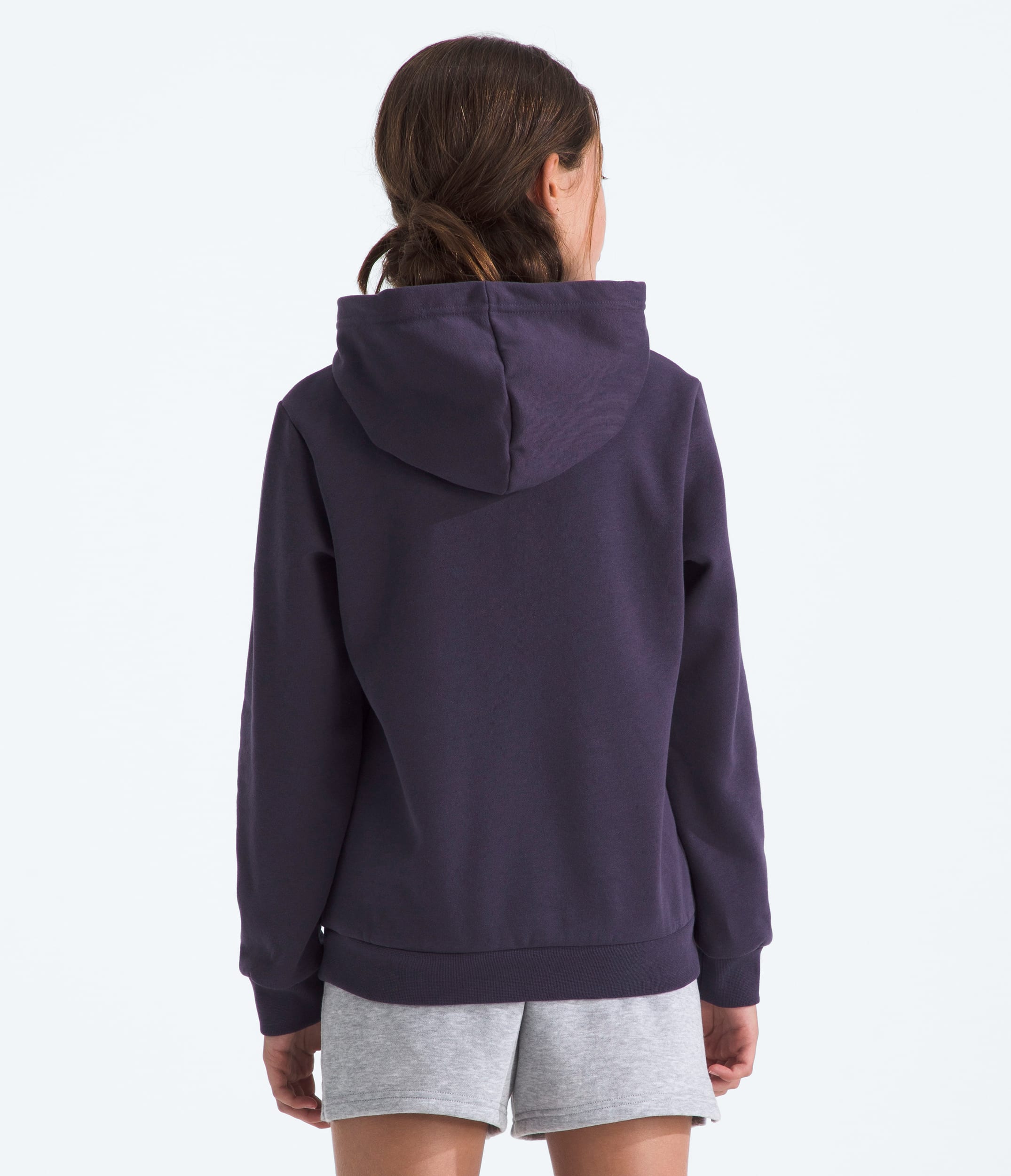 Boys  Girls Evolution Simple Dome Pullover Hoodie TNF BACK