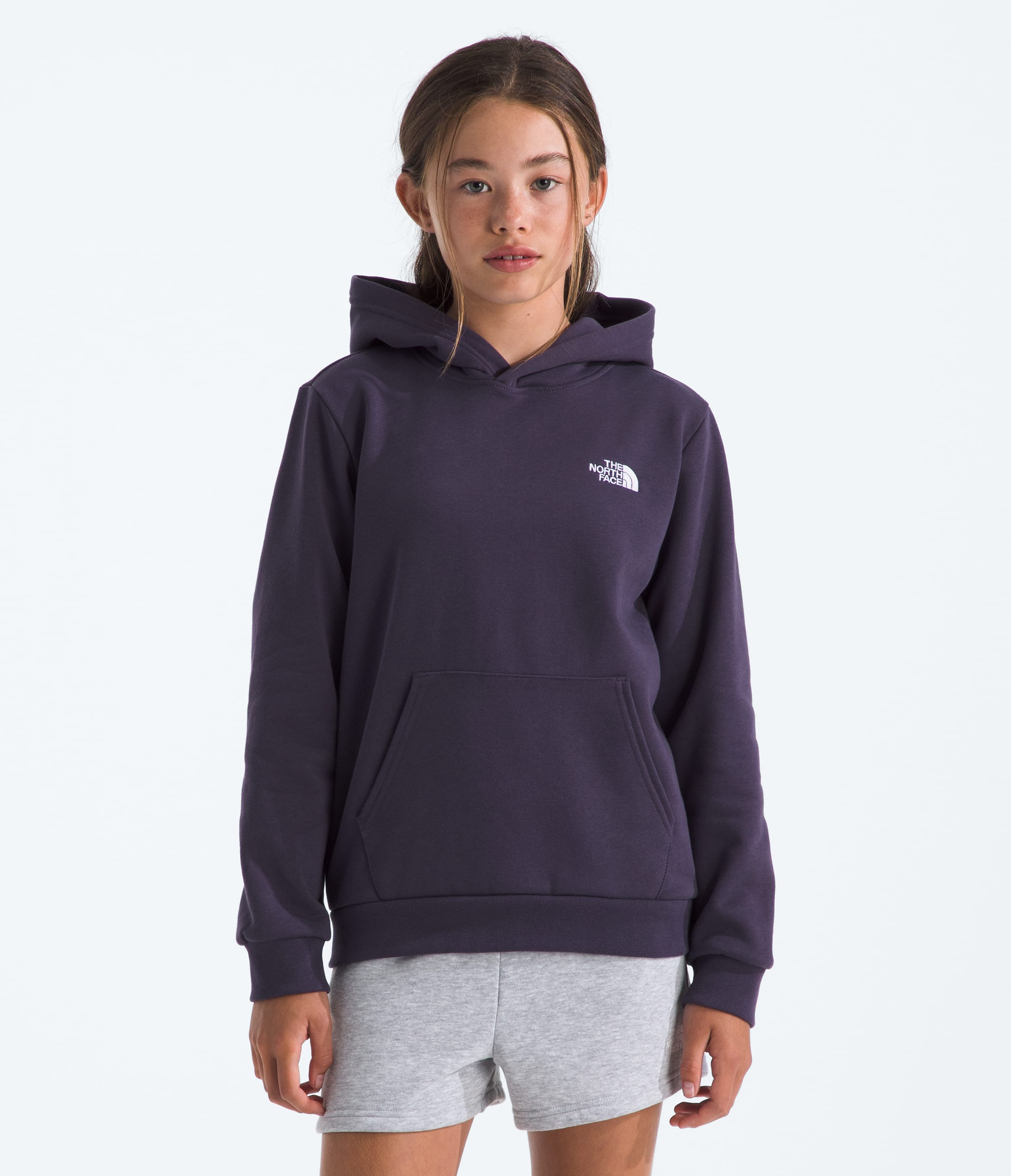 Boys  Girls Evolution Simple Dome Pullover Hoodie TNF HERO2