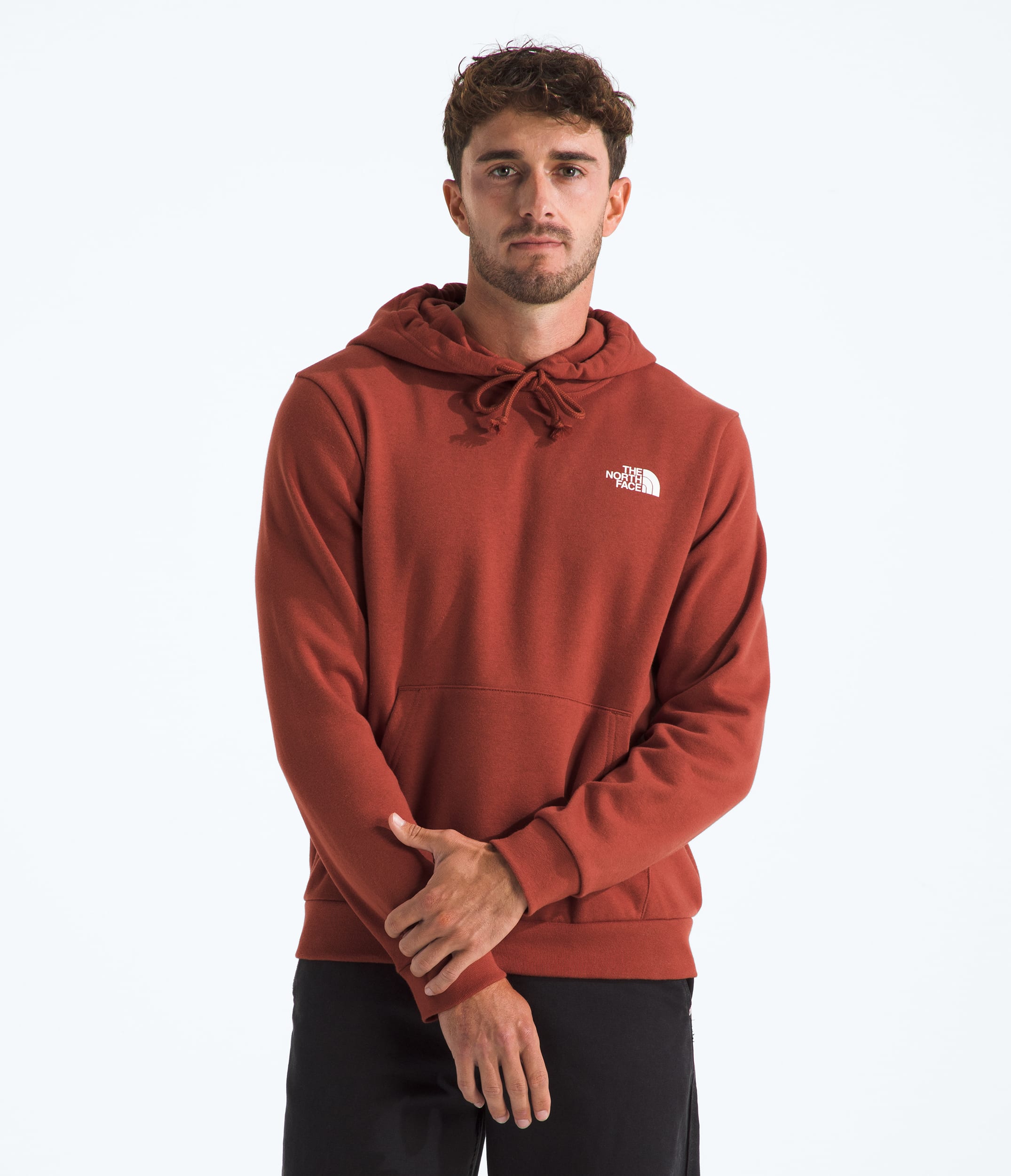 Mens Evolution Box NSE Regular Hoodie TNF BACK